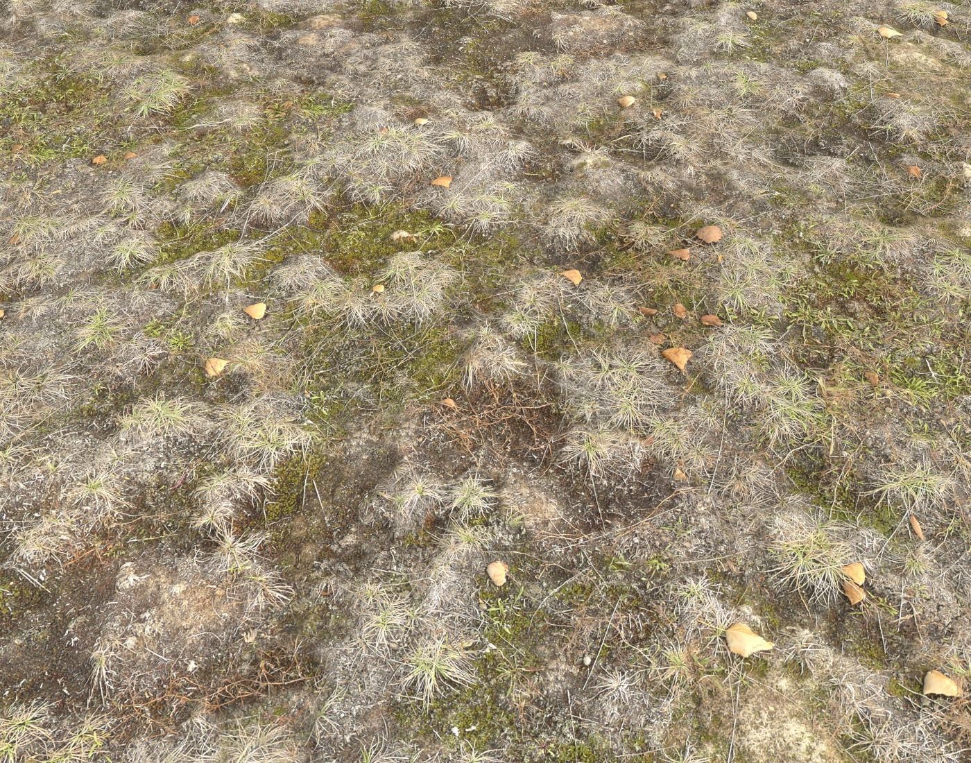 Ground terrain tundra PBR pack 1 Texture_11