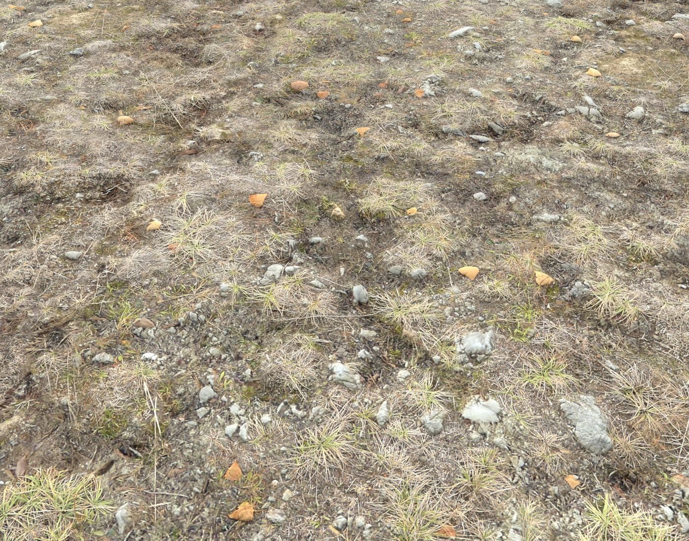 Ground terrain tundra PBR pack 1 Texture_16