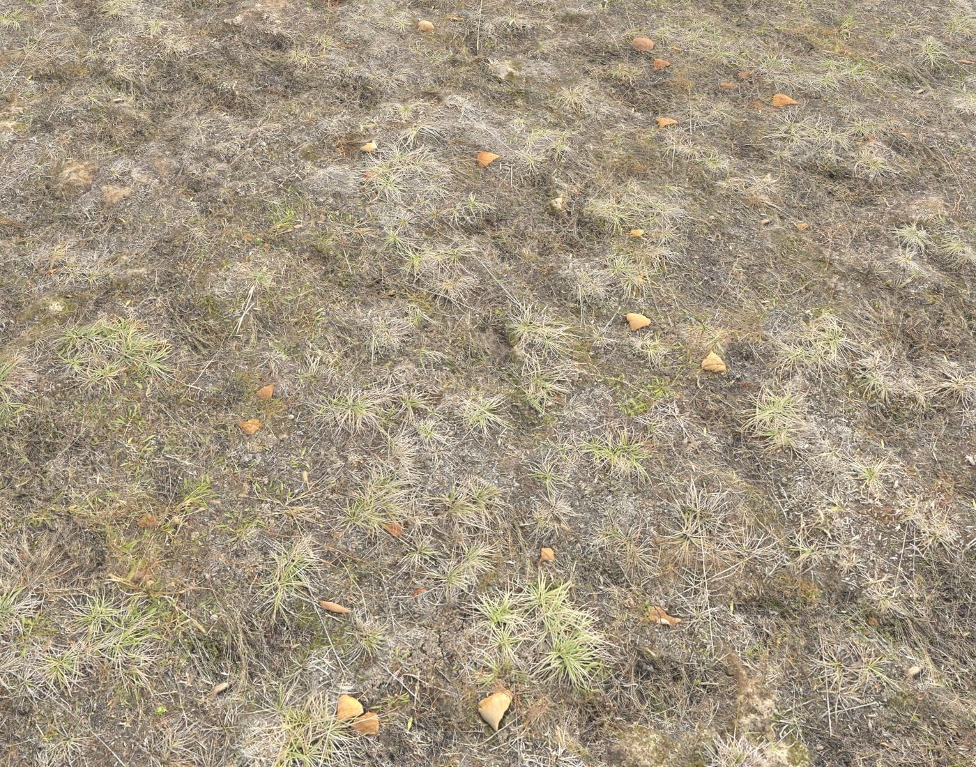 Ground terrain tundra PBR pack 1 Texture_17