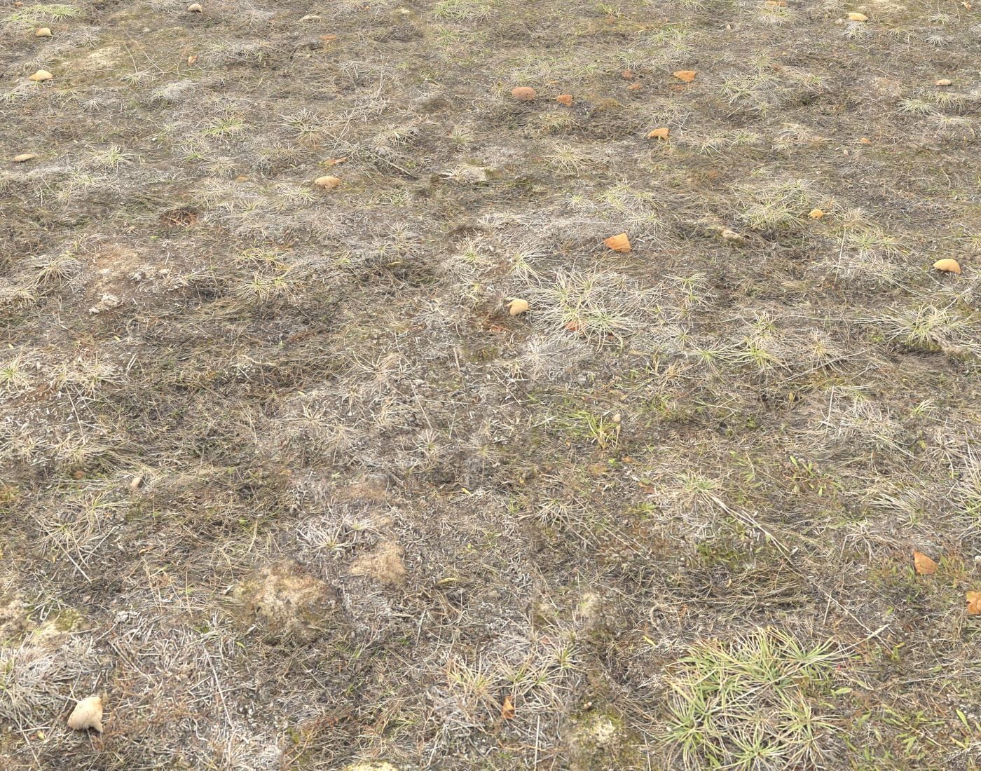 Ground terrain tundra PBR pack 1 Texture_20