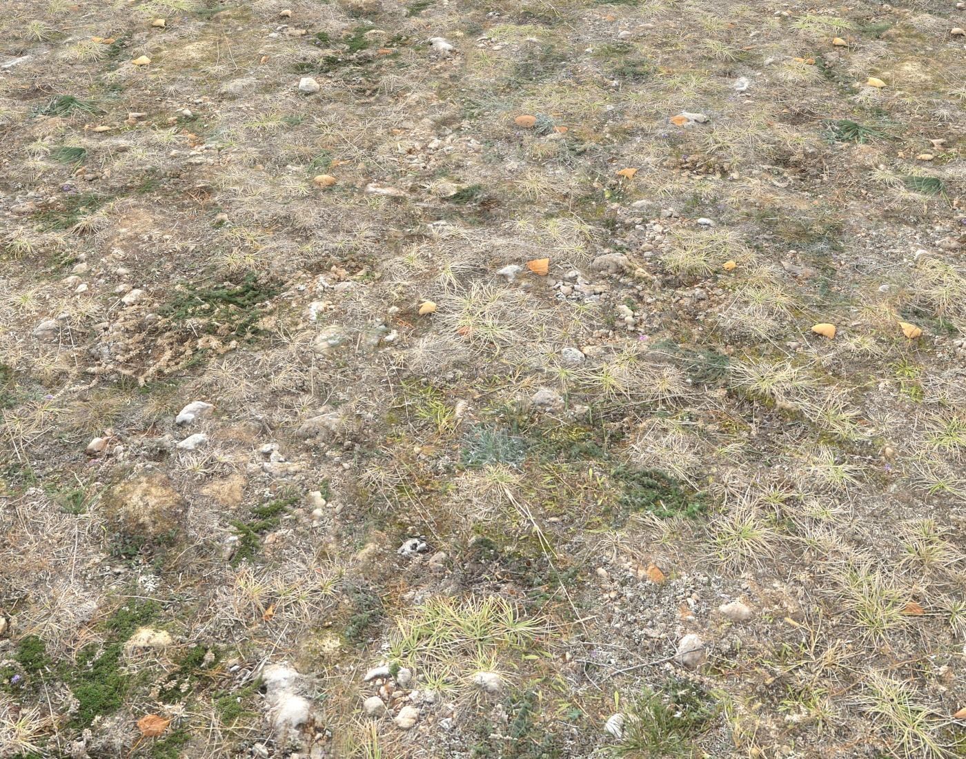 Ground terrain tundra PBR pack 1 Texture_8