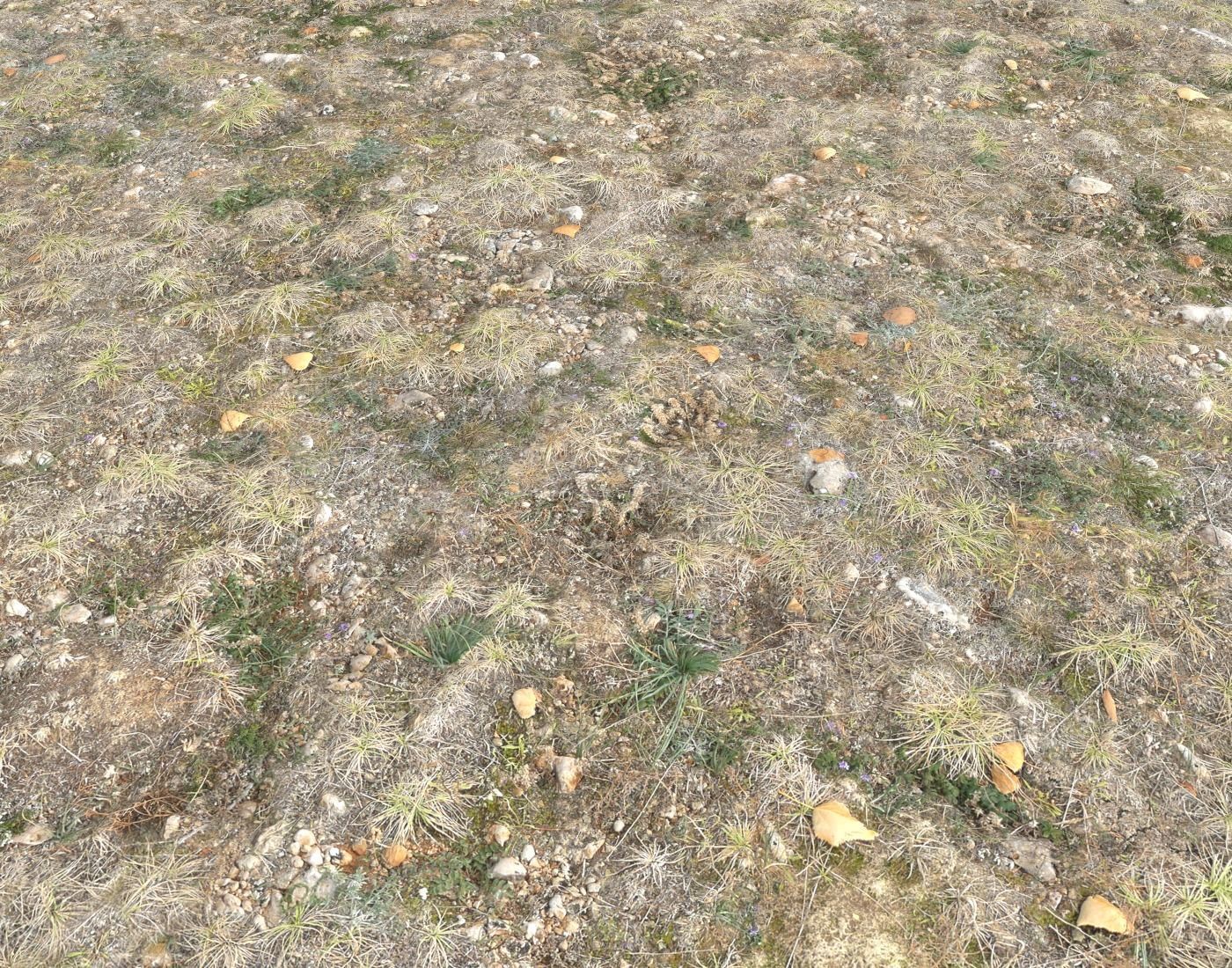 Ground terrain tundra PBR pack 1 Texture_7