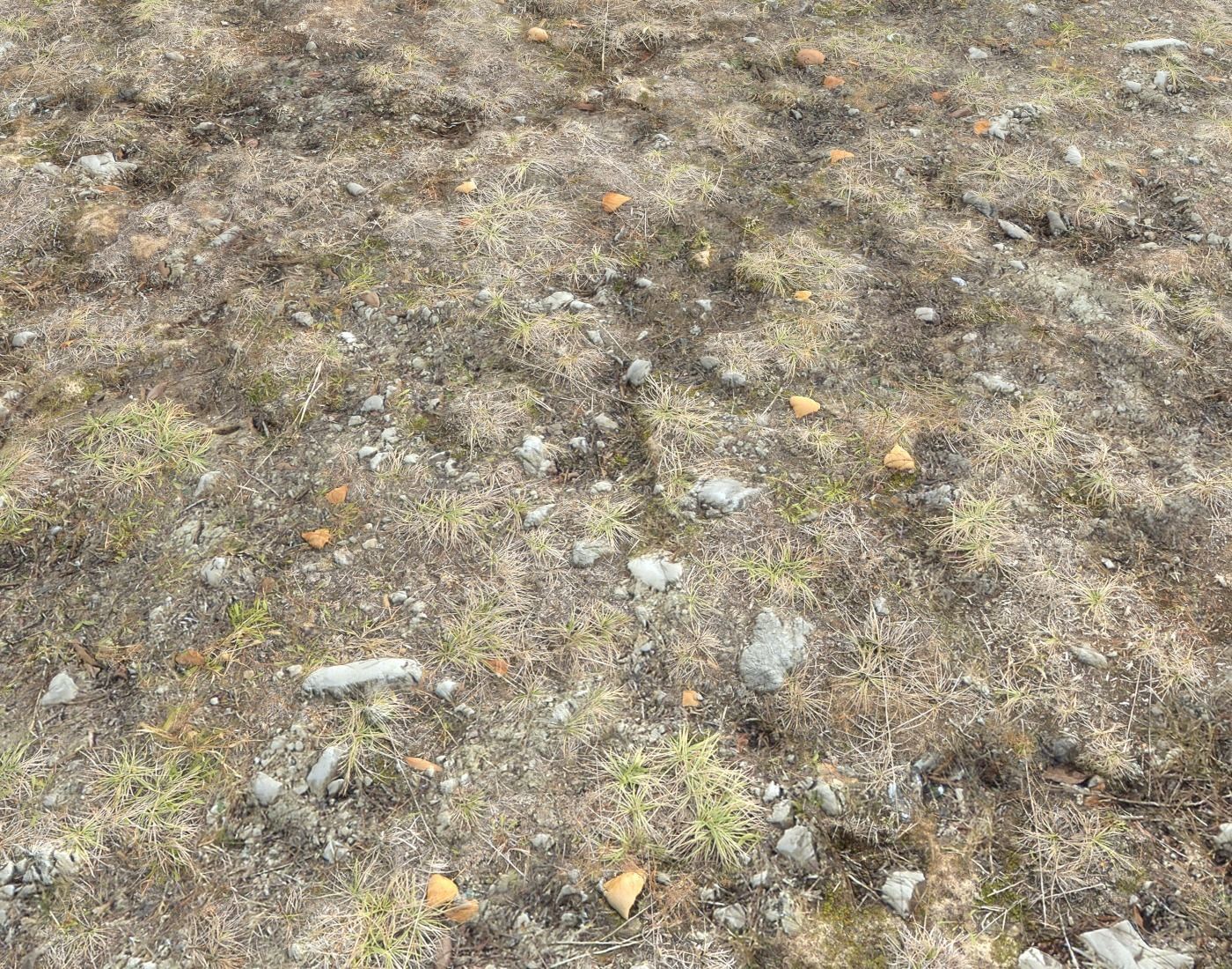 Ground terrain tundra PBR pack 1 Texture_13