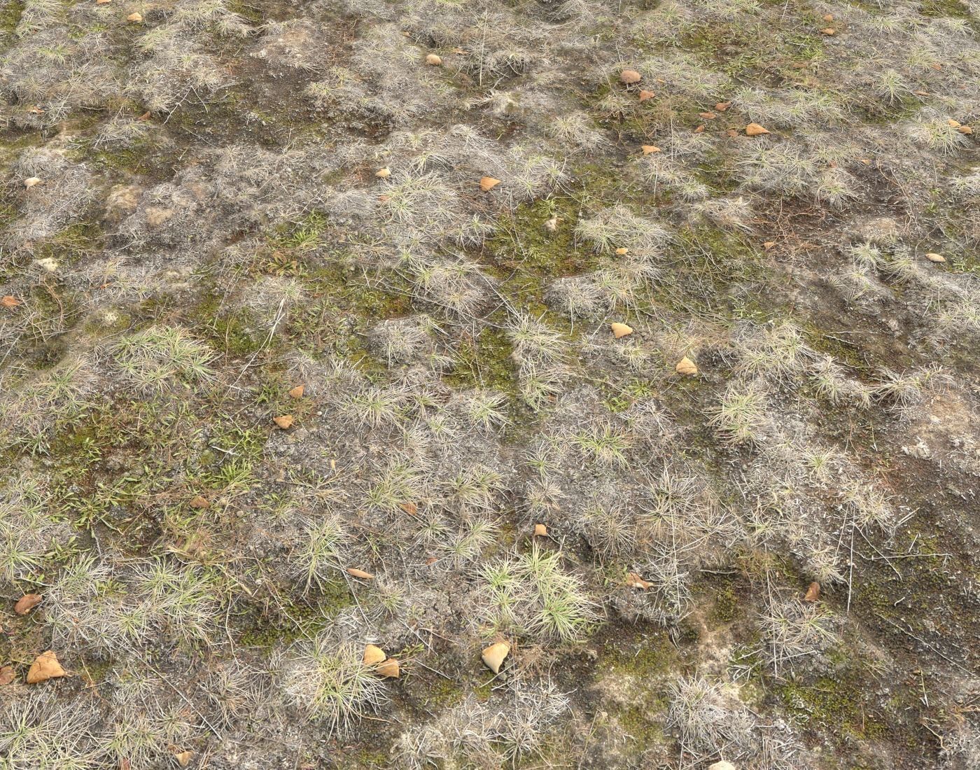 Ground terrain tundra PBR pack 1 Texture_9