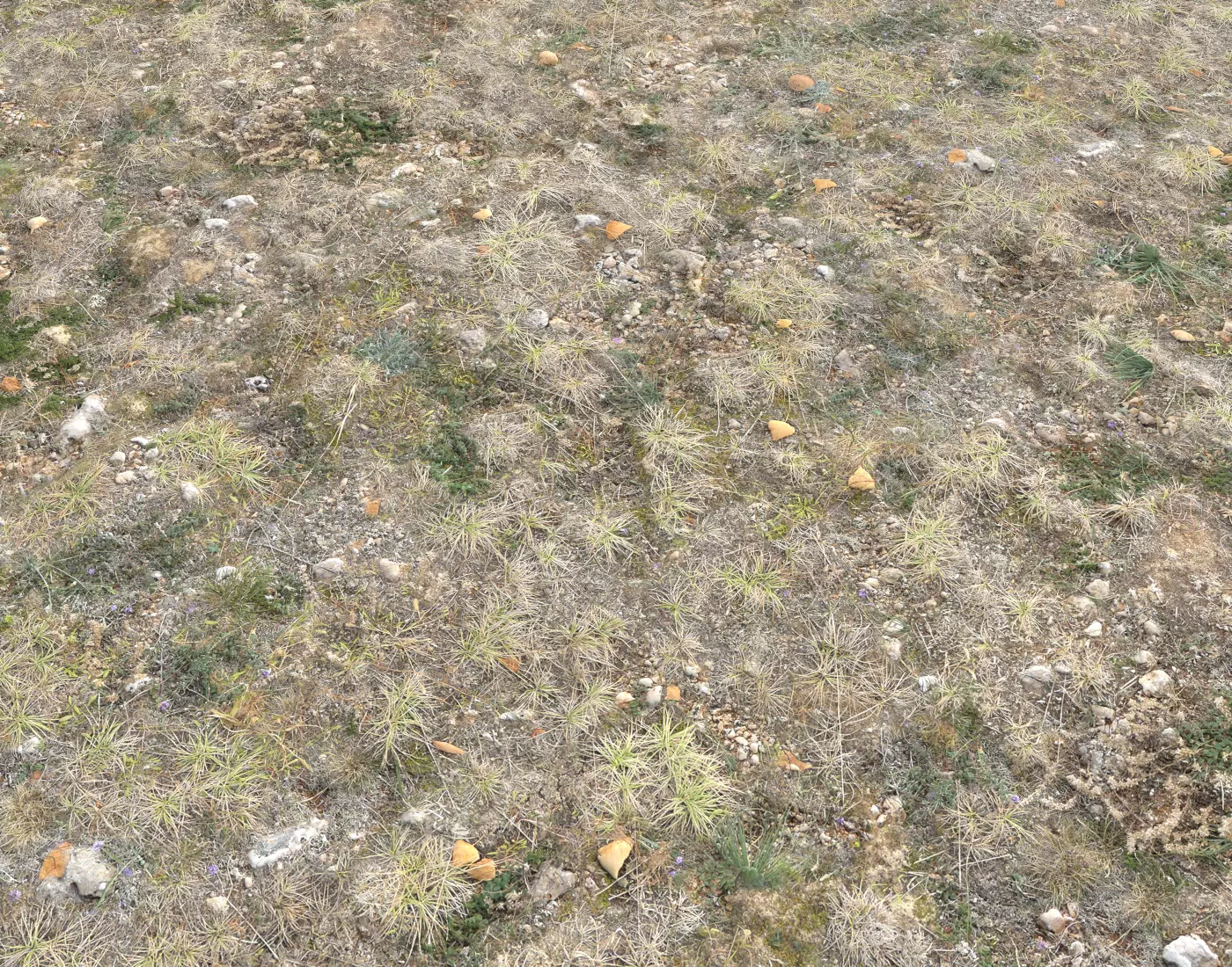 Ground terrain tundra PBR pack 1 Texture_0