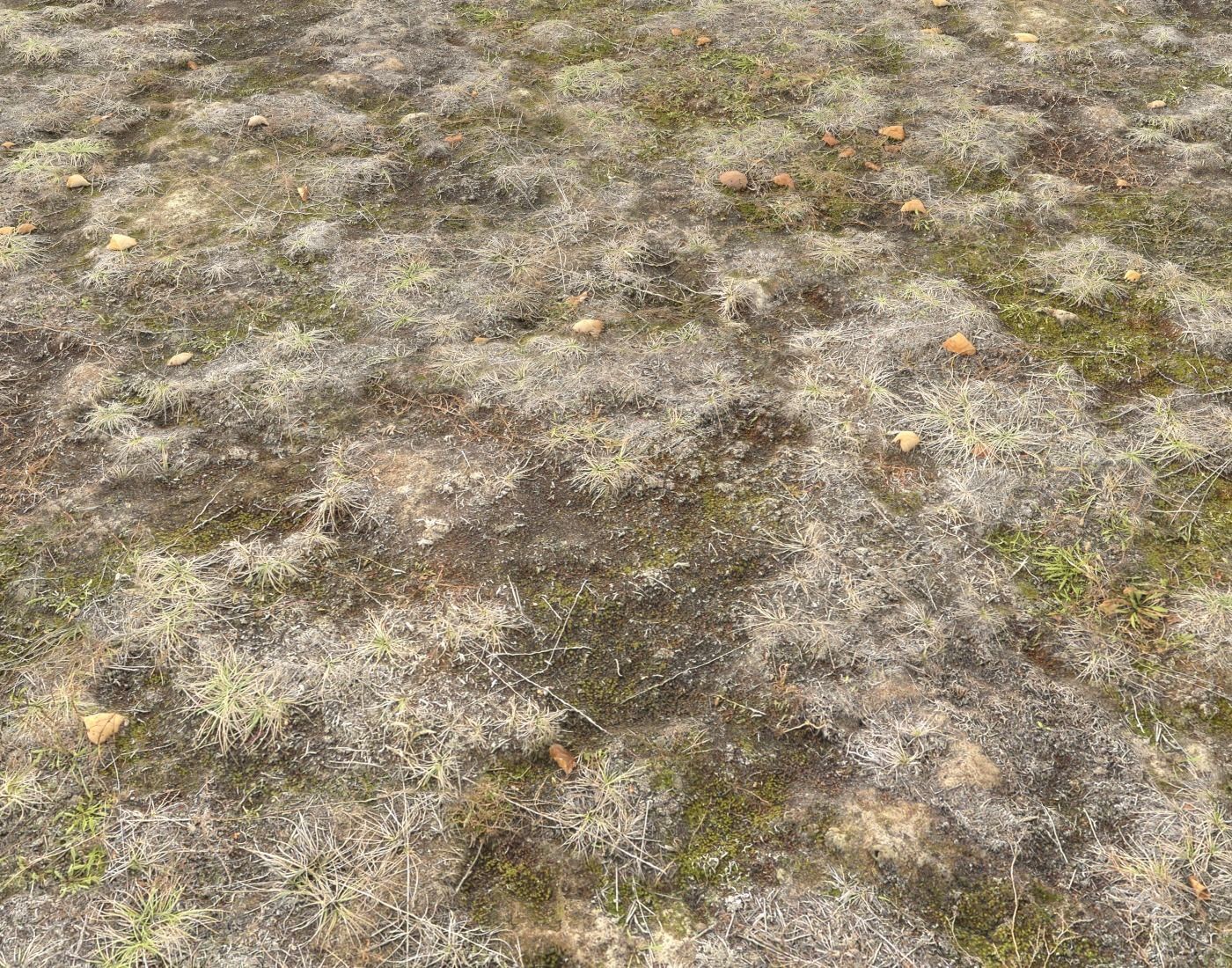 Ground terrain tundra PBR pack 1 Texture_12