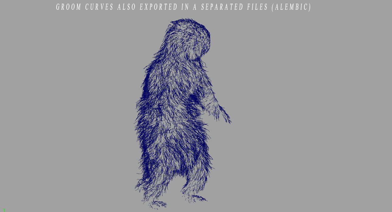 Marmot groundhog 3D model_11