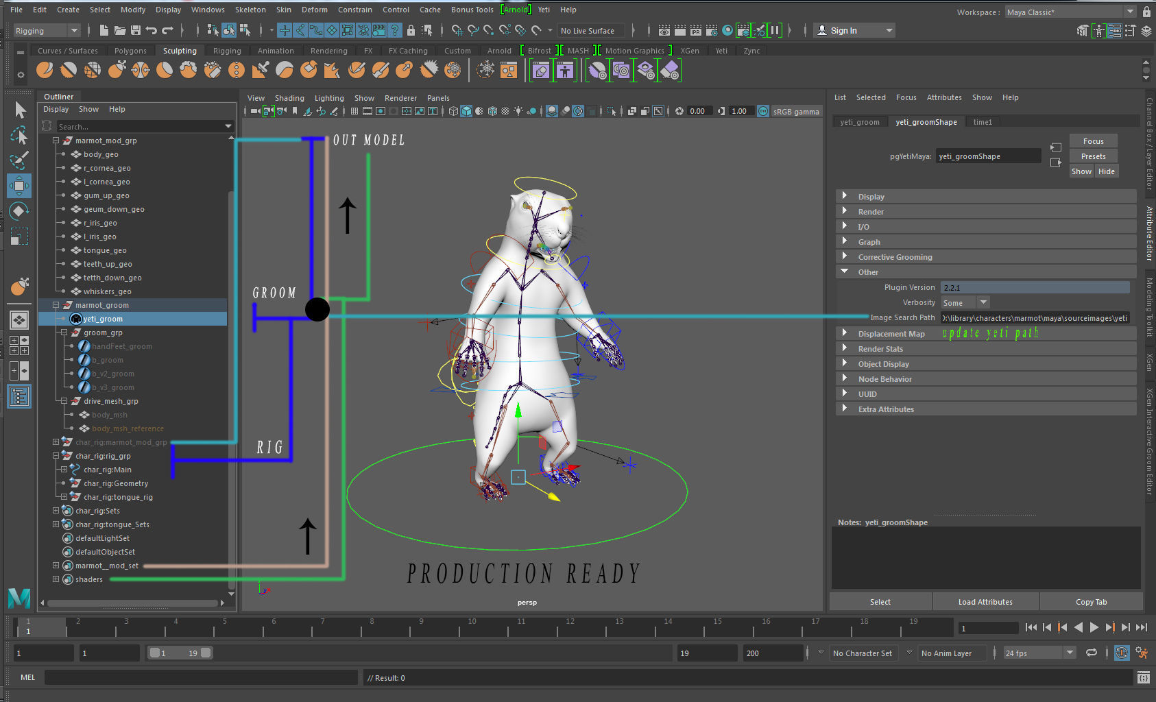 Marmot groundhog 3D model_15