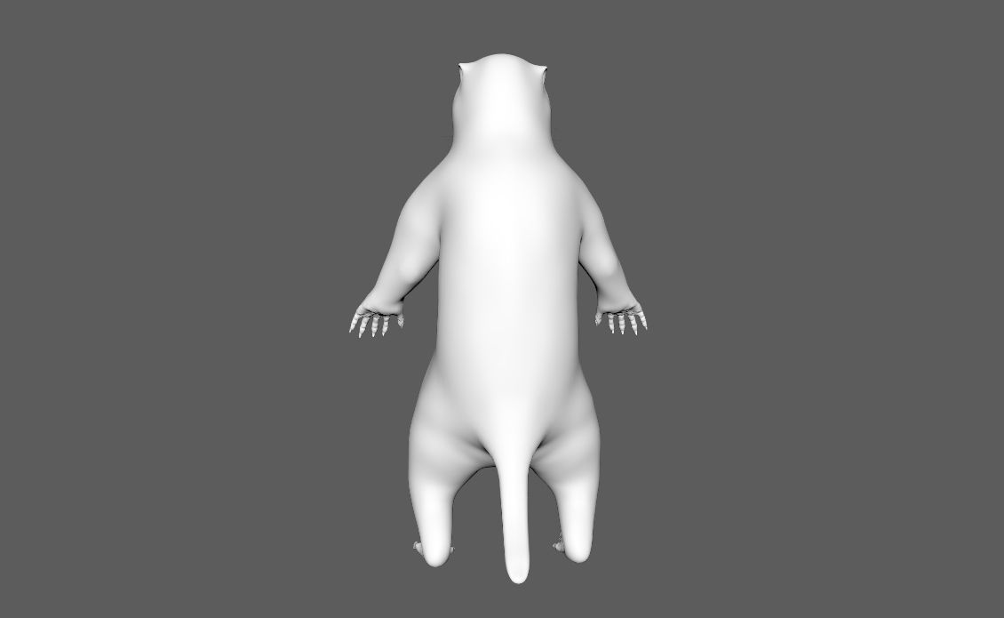 Marmot groundhog 3D model_8