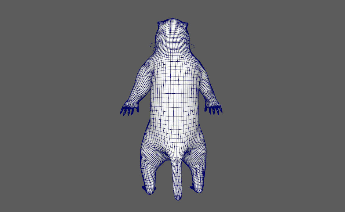 Marmot groundhog 3D model_14
