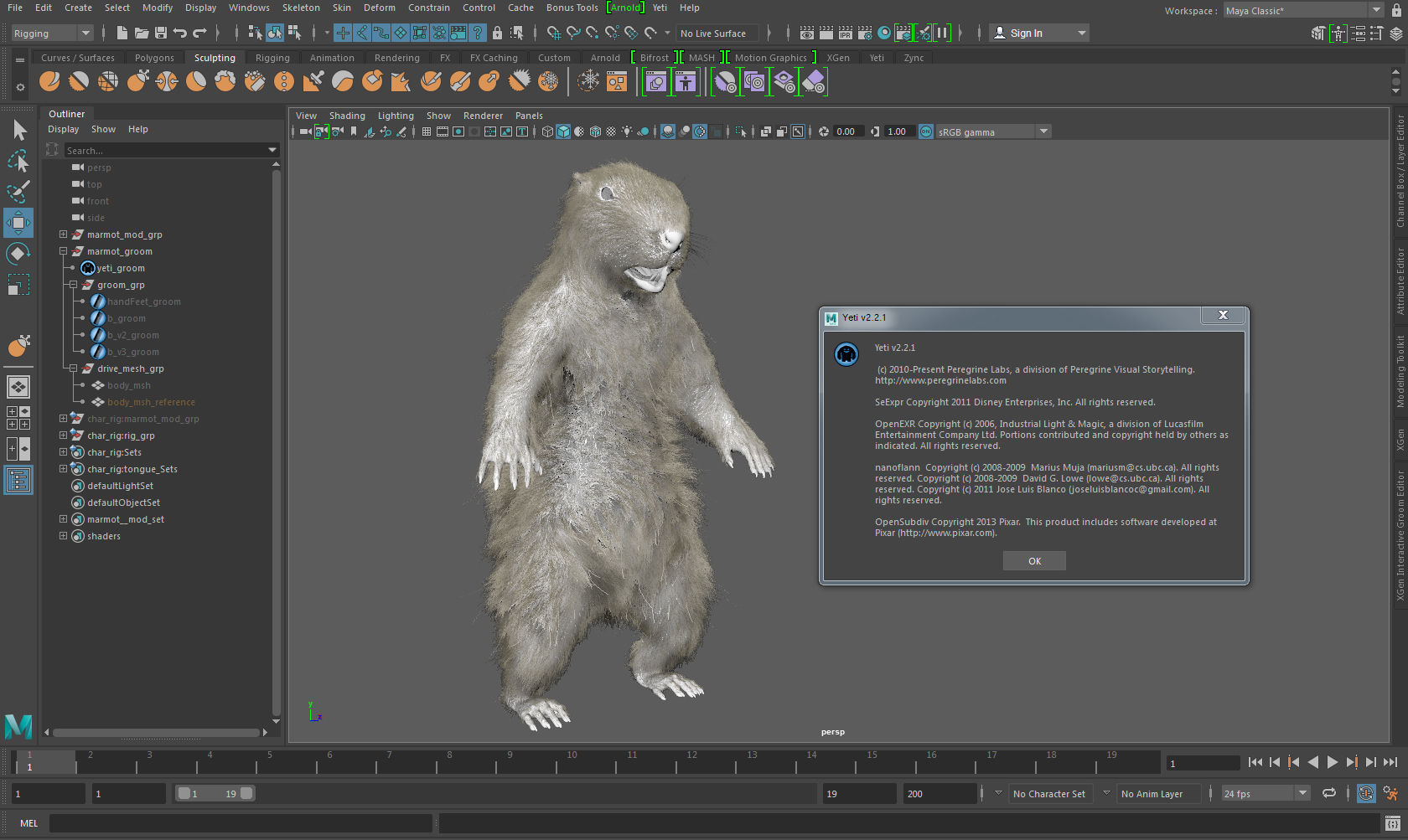 Marmot groundhog 3D model_17