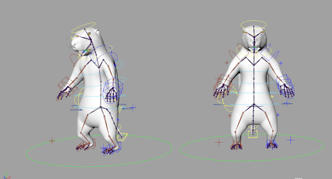 Marmot groundhog 3D model_10