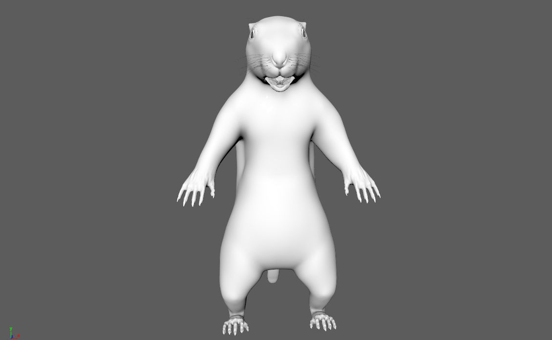 Marmot groundhog 3D model_9