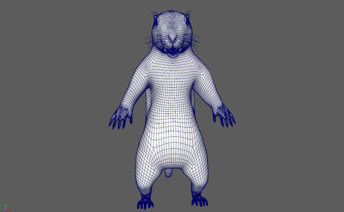 Marmot groundhog 3D model_12