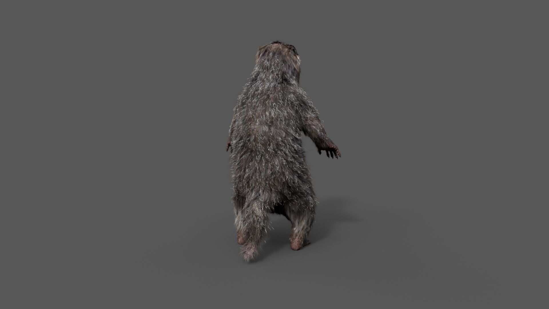 Marmot groundhog 3D model_20