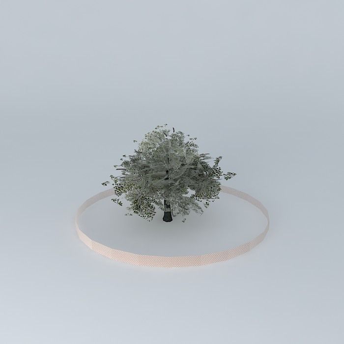 Encina tree in circle Free 3D model_2