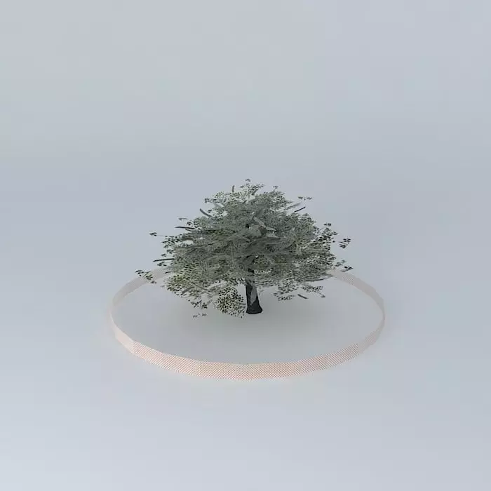 Encina tree in circle Free 3D model_0