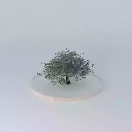 Encina tree in circle Free 3D model
