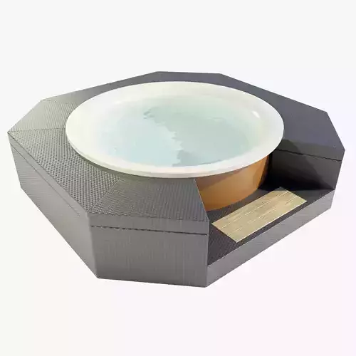 Hot Tub 3D model