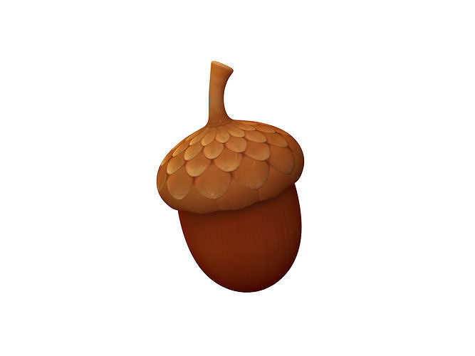 Acorn 3D model