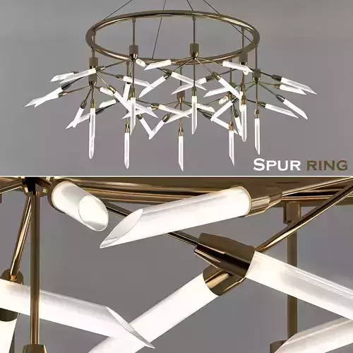 Spur Ring Chandelier 3D model