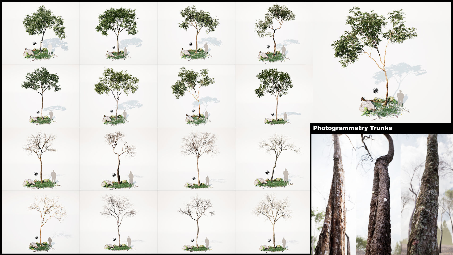 Realistic Tree and Forest Pack 02 Low-poly 3D model_5