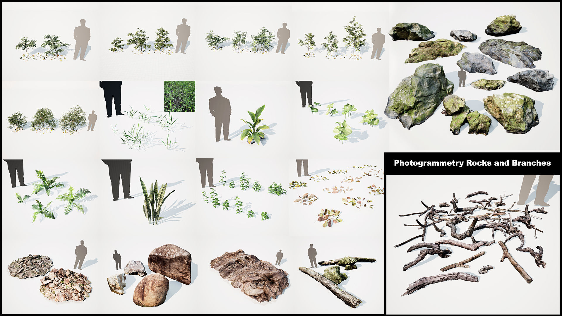 Realistic Tree and Forest Pack 02 Low-poly 3D model_6