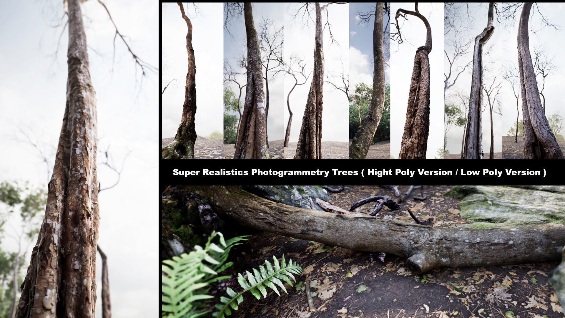 Realistic Tree and Forest Pack 02 Low-poly 3D model_2