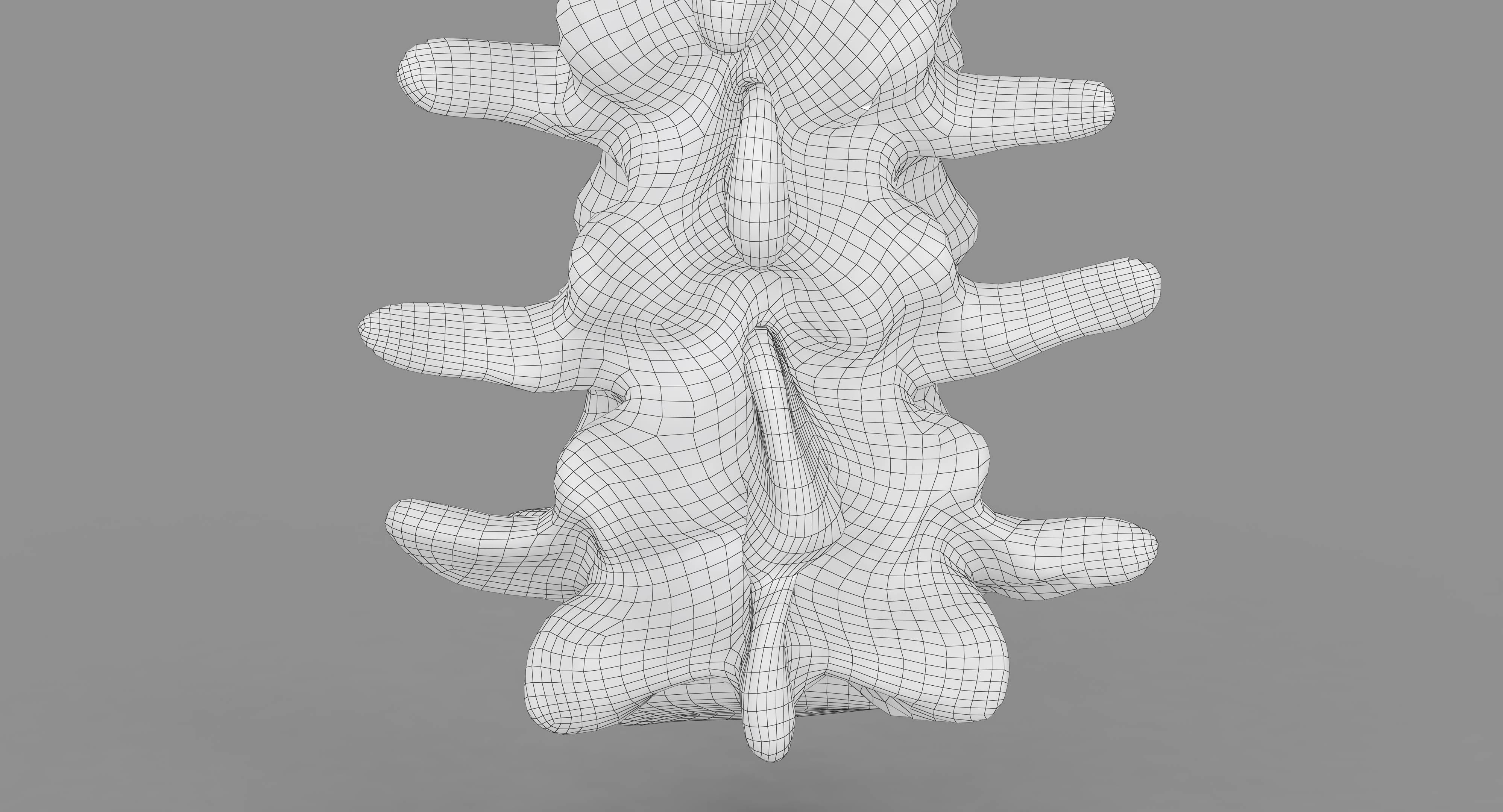 Human Spine Scanned Low-poly 3D model_53
