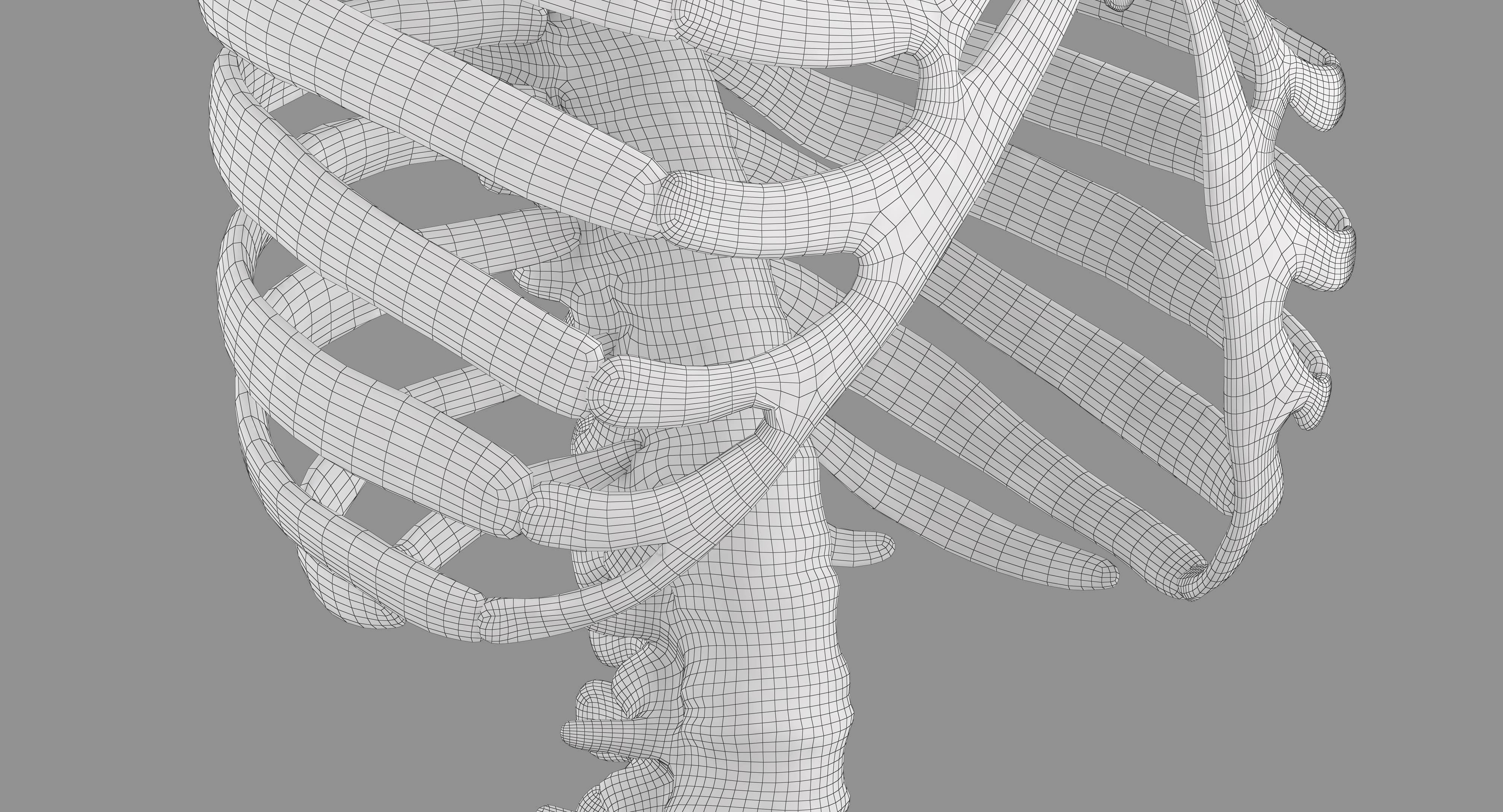 Human Spine Scanned Low-poly 3D model_21
