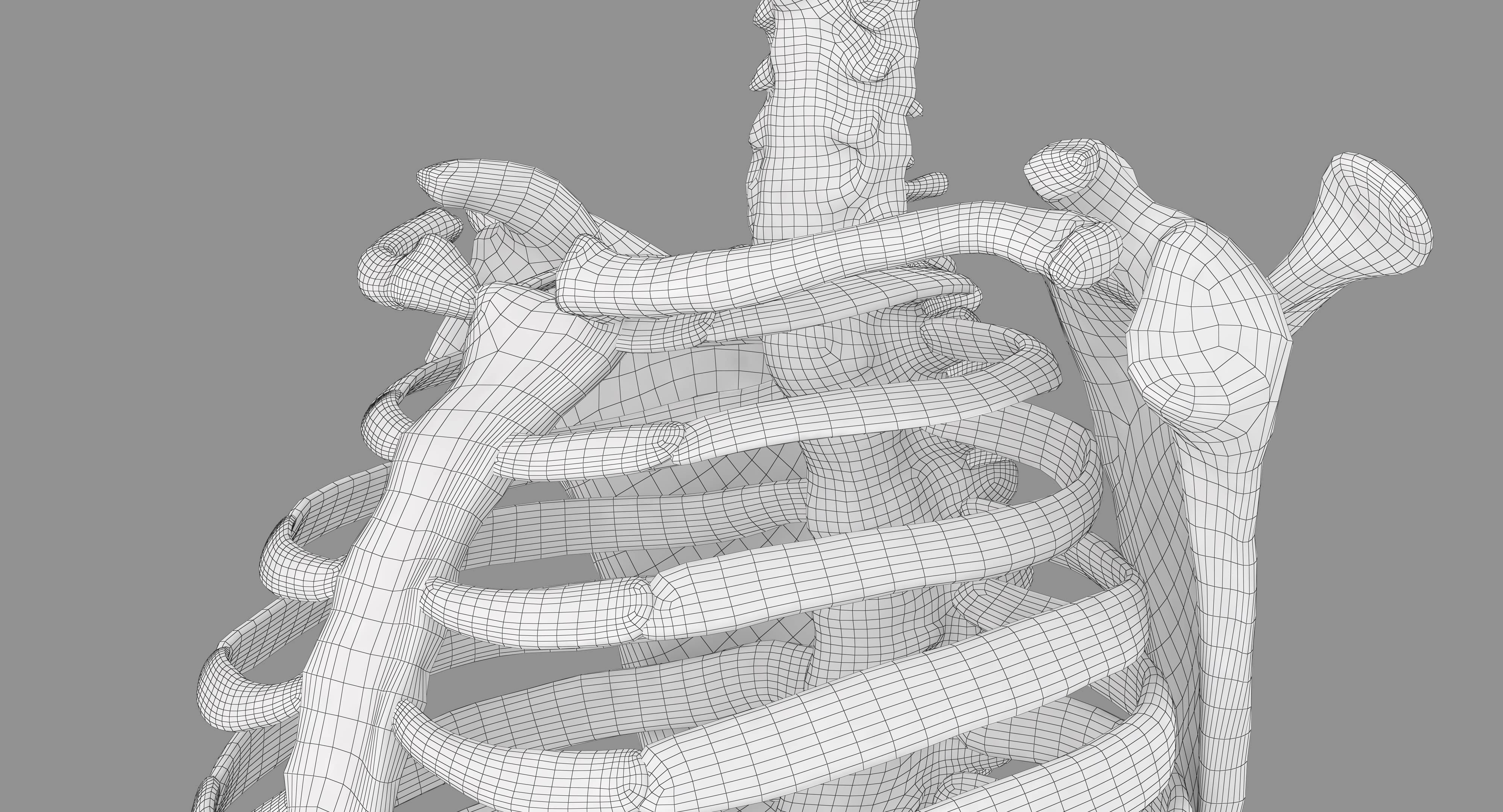 Human Spine Scanned Low-poly 3D model_77