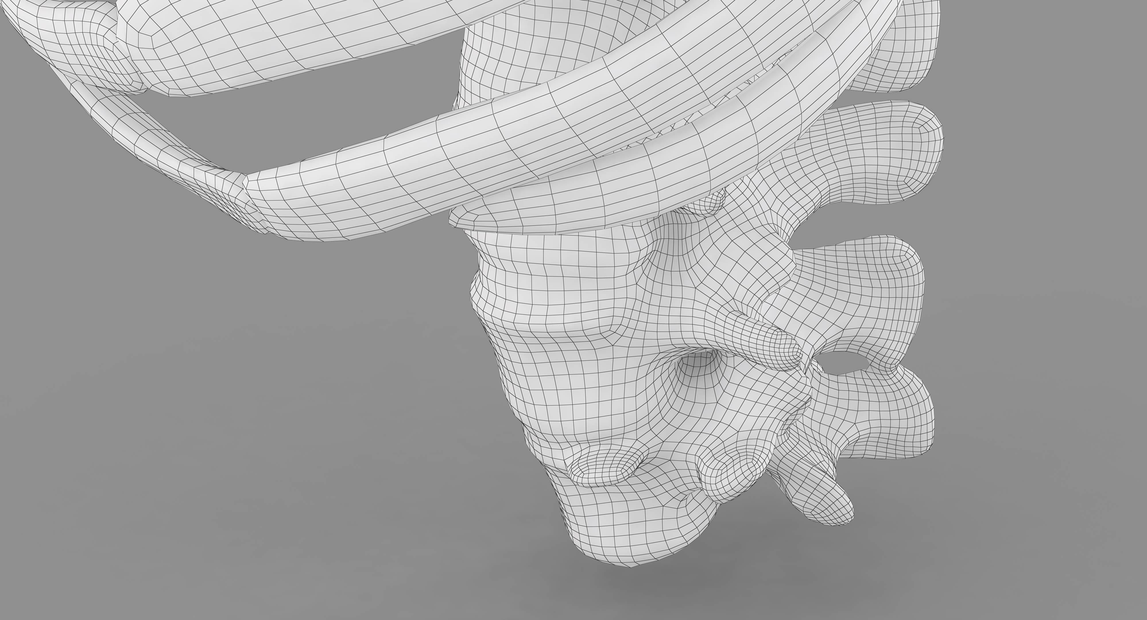 Human Spine Scanned Low-poly 3D model_73