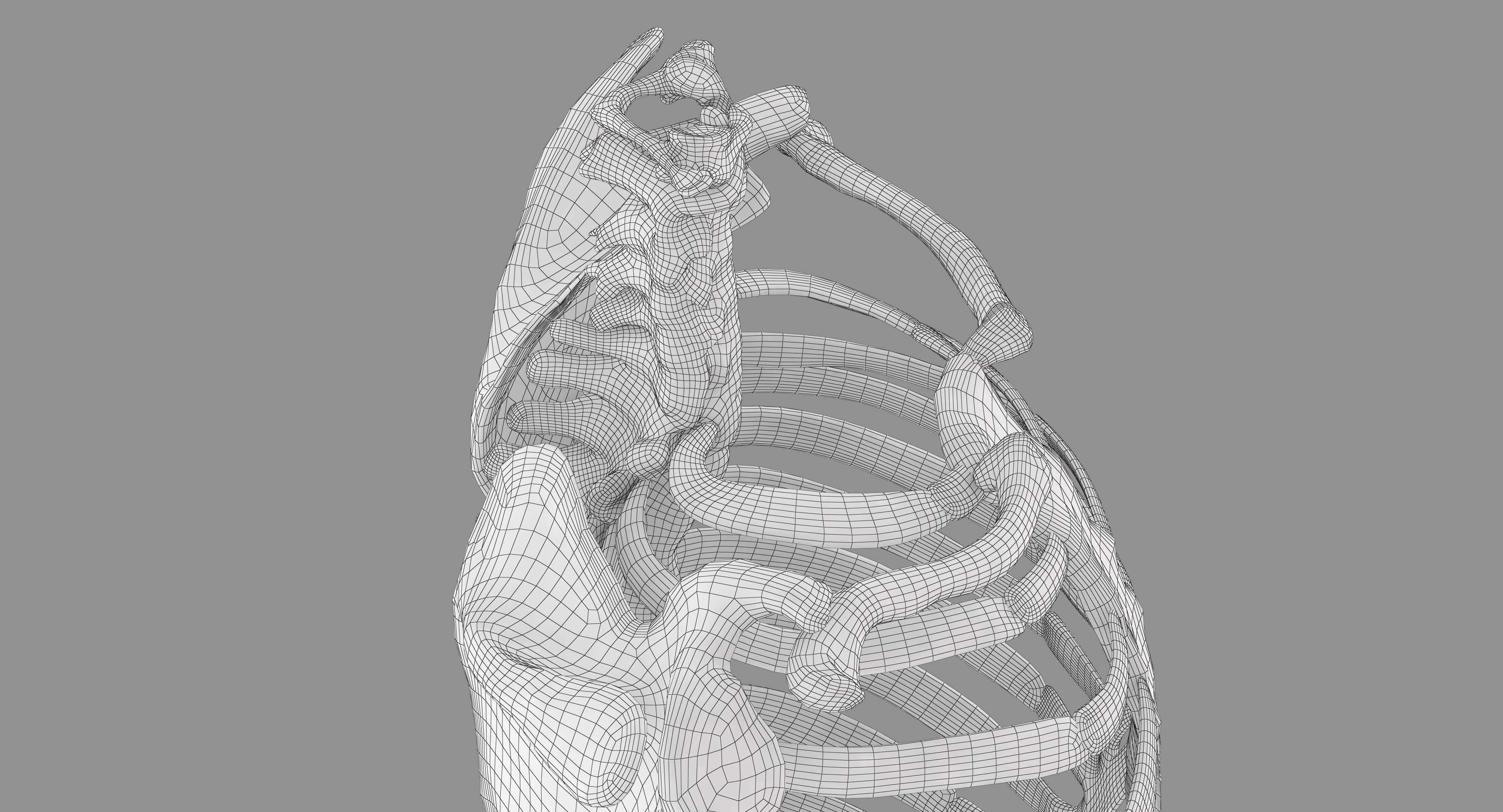 Human Spine Scanned Low-poly 3D model_25