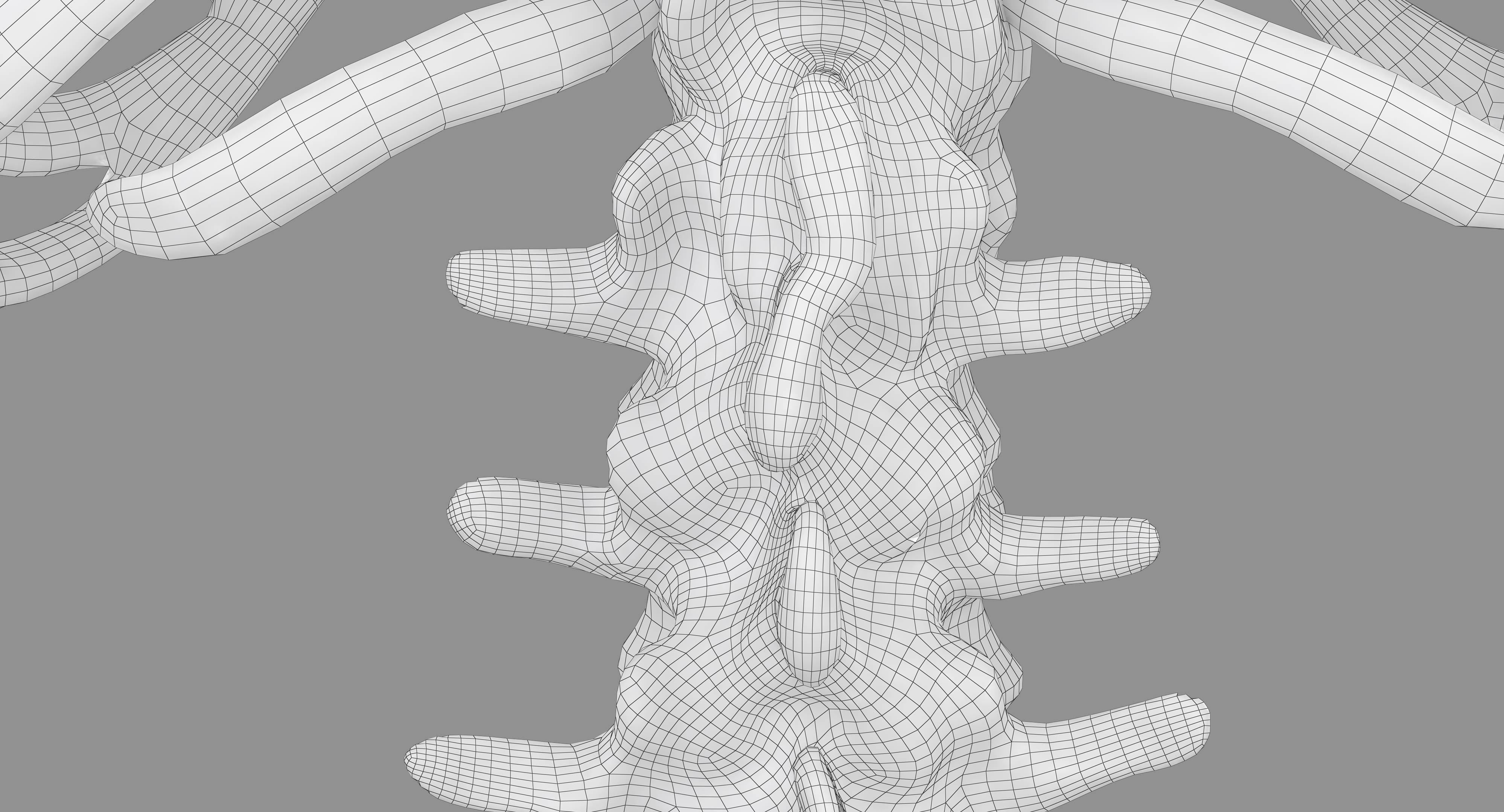 Human Spine Scanned Low-poly 3D model_51