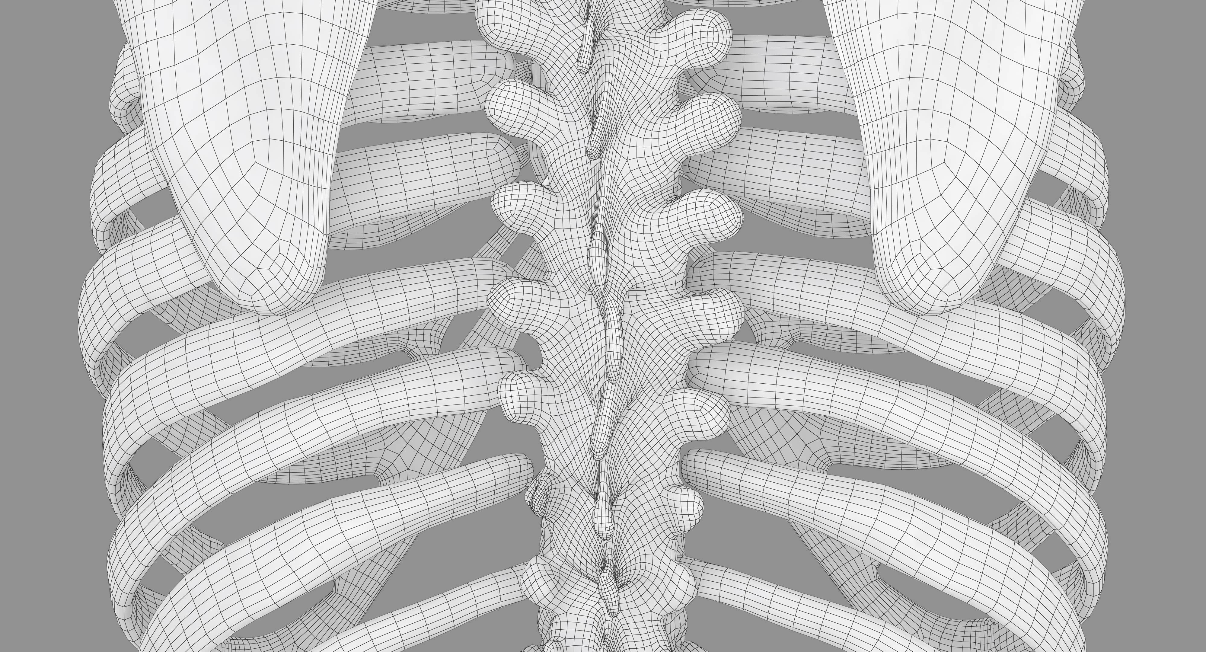 Human Spine Scanned Low-poly 3D model_49