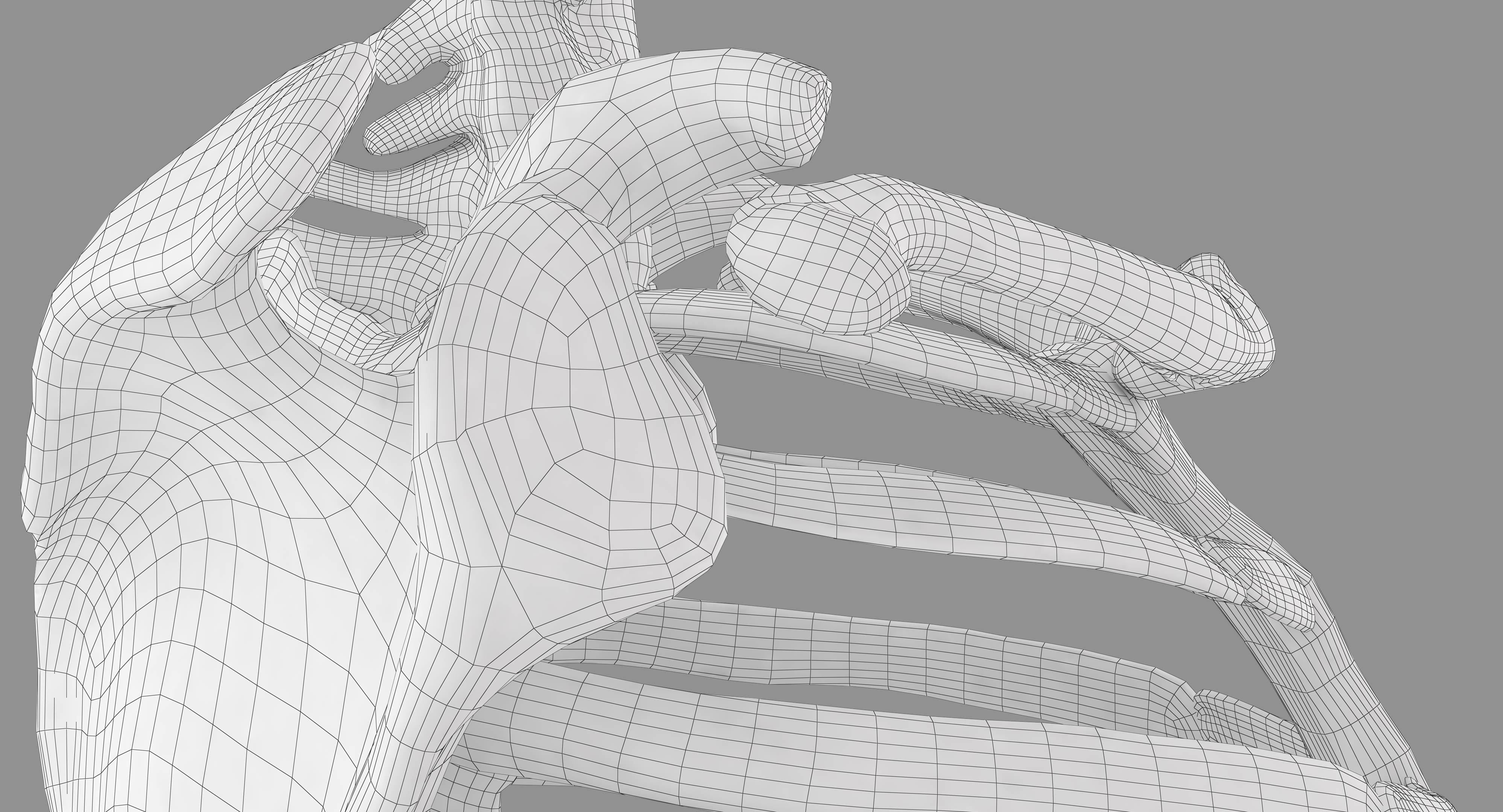 Human Spine Scanned Low-poly 3D model_27