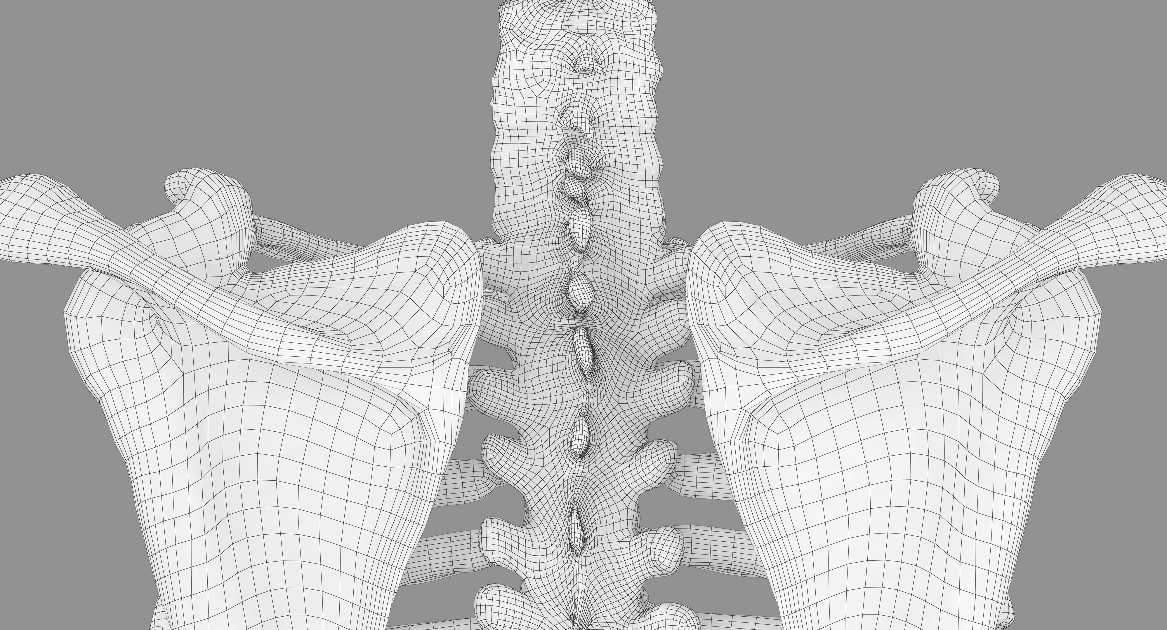 Human Spine Scanned Low-poly 3D model_47
