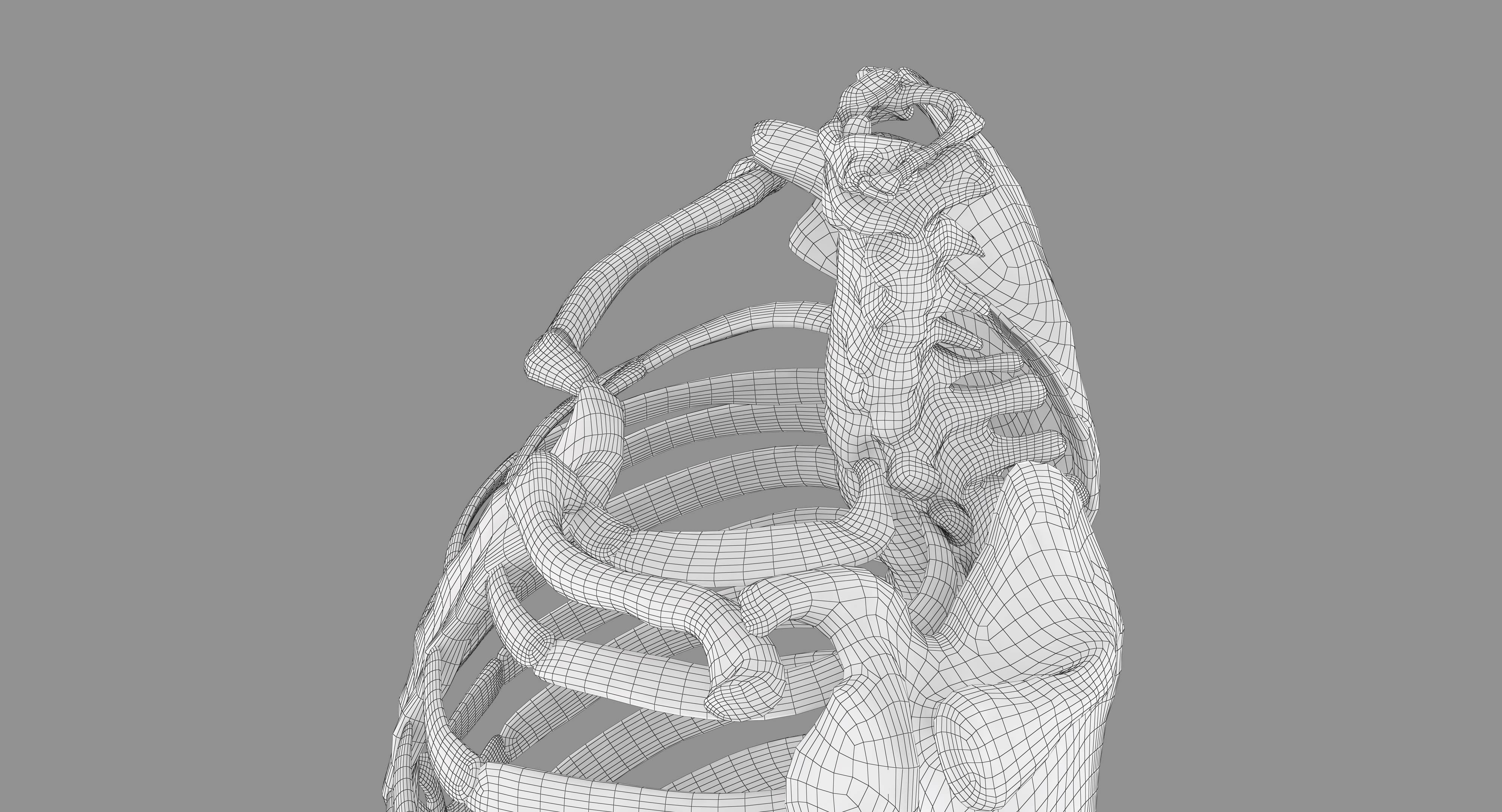 Human Spine Scanned Low-poly 3D model_65