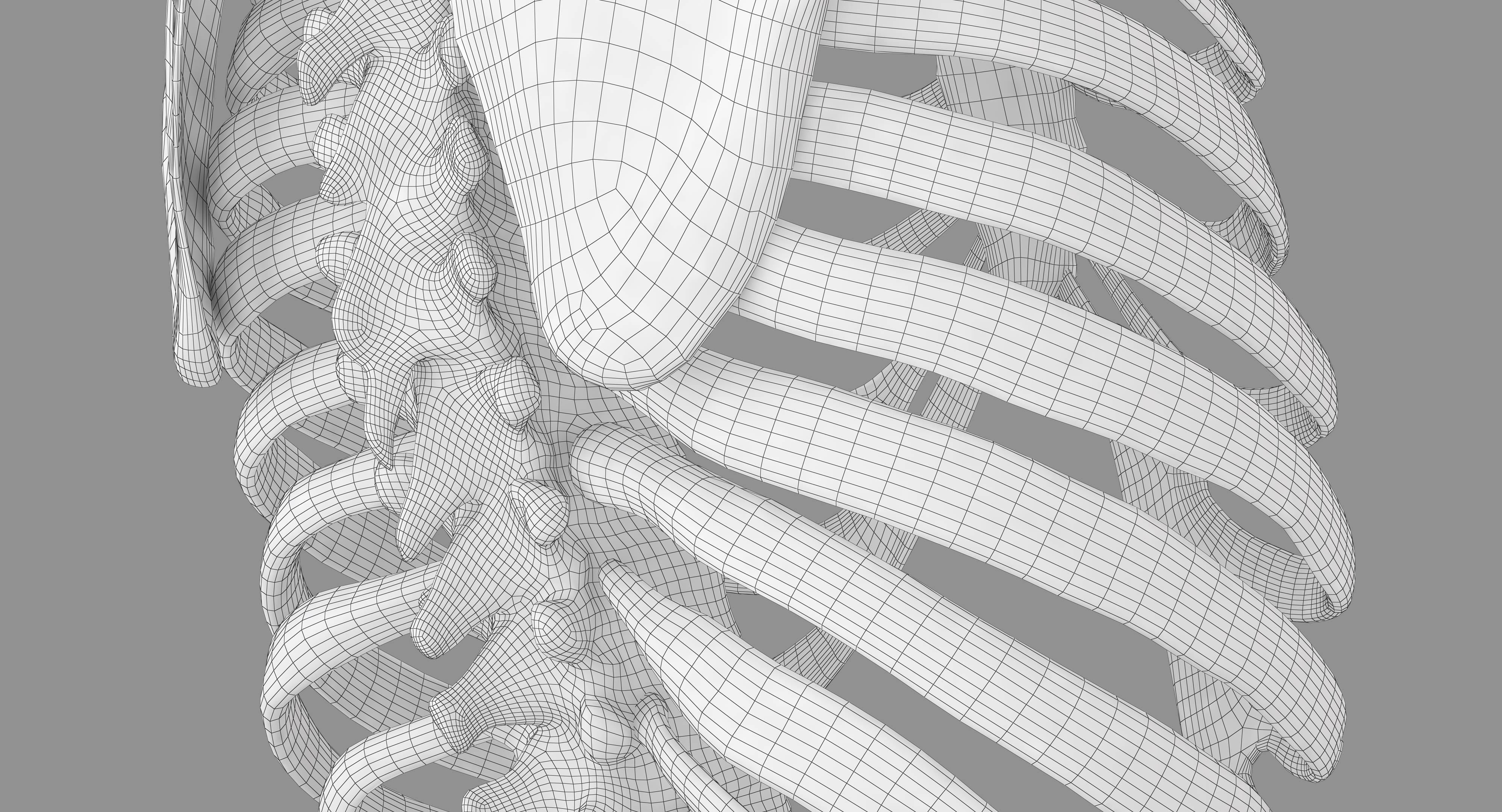 Human Spine Scanned Low-poly 3D model_39