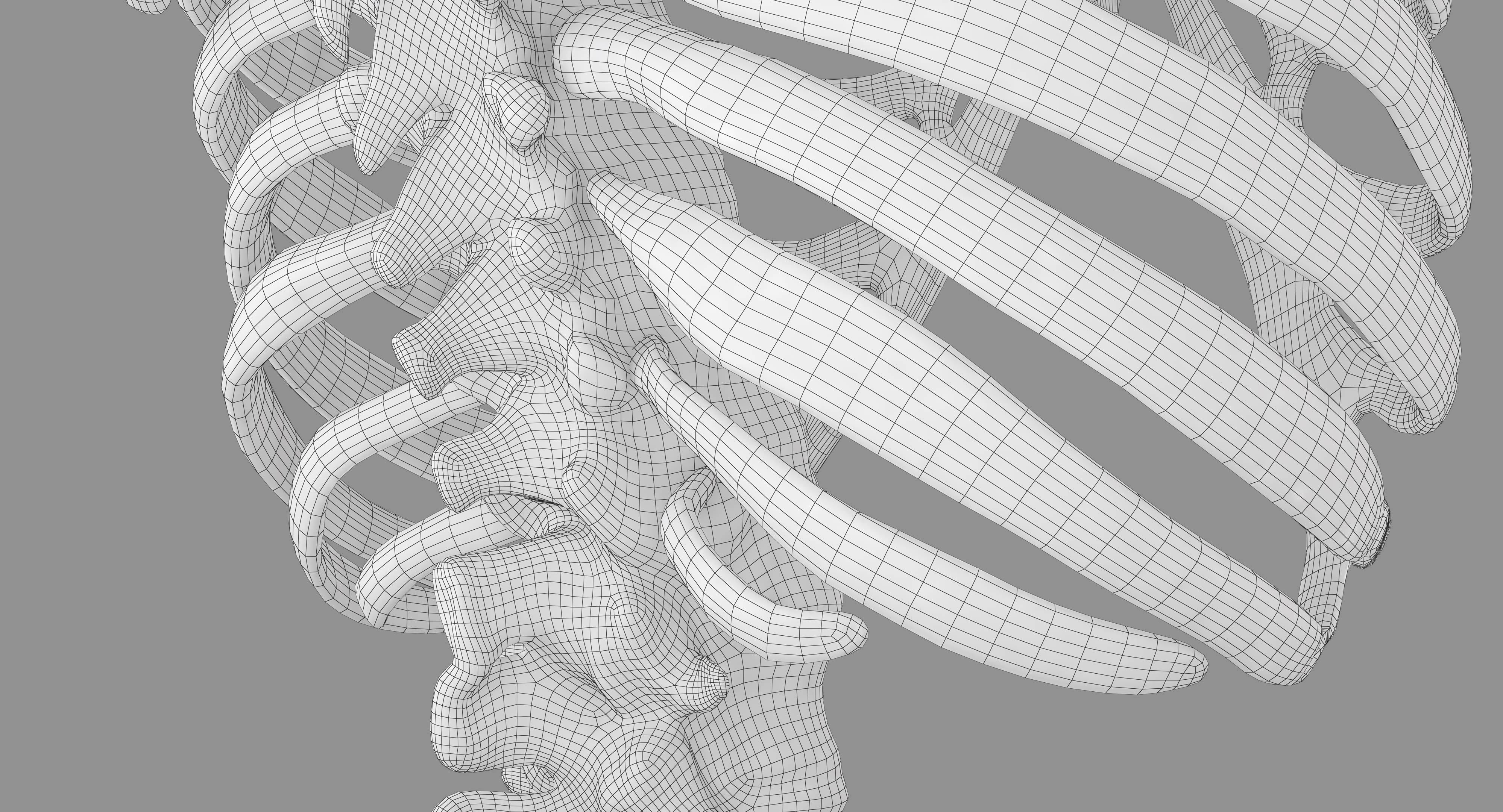 Human Spine Scanned Low-poly 3D model_41