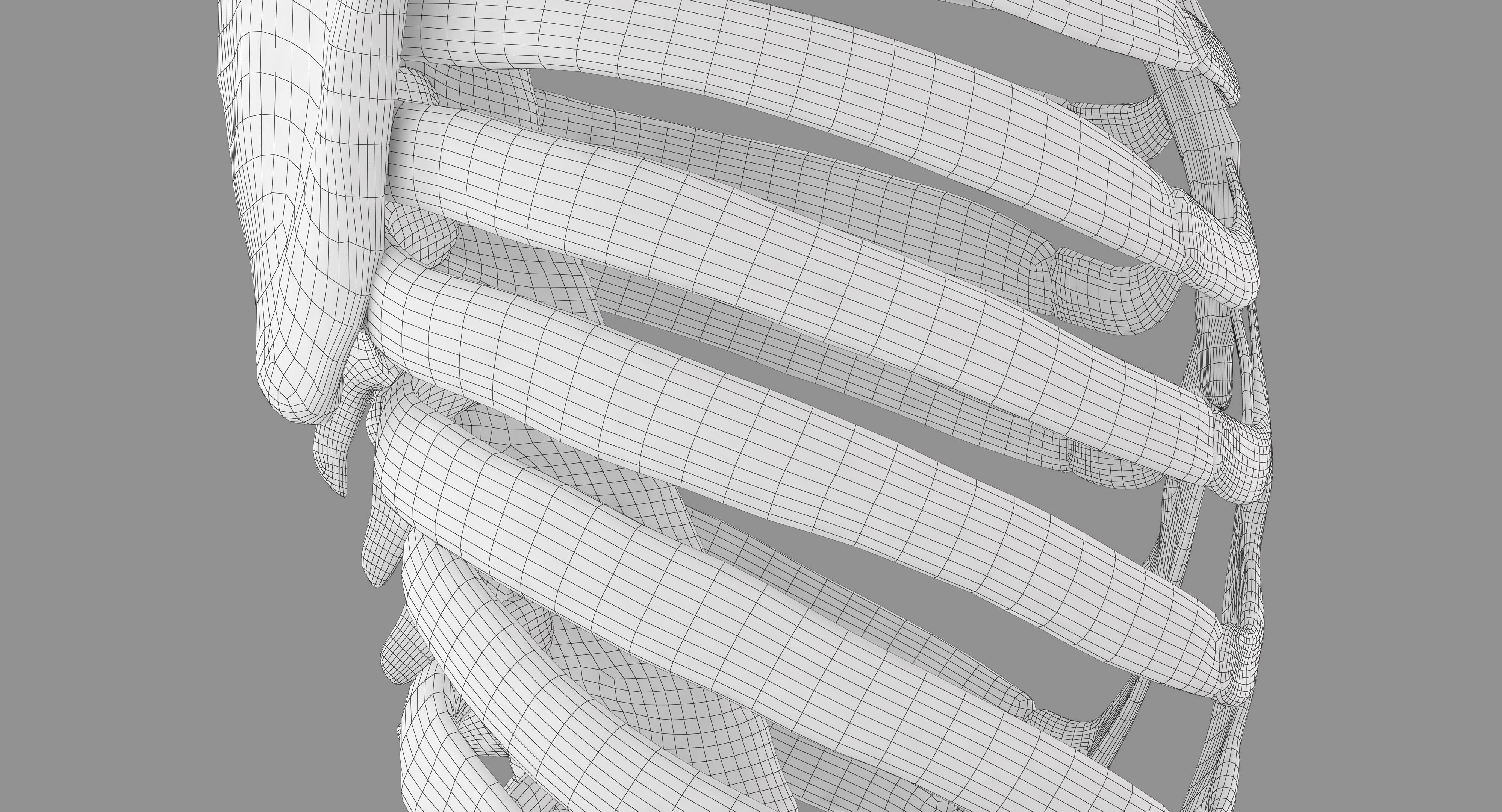 Human Spine Scanned Low-poly 3D model_29