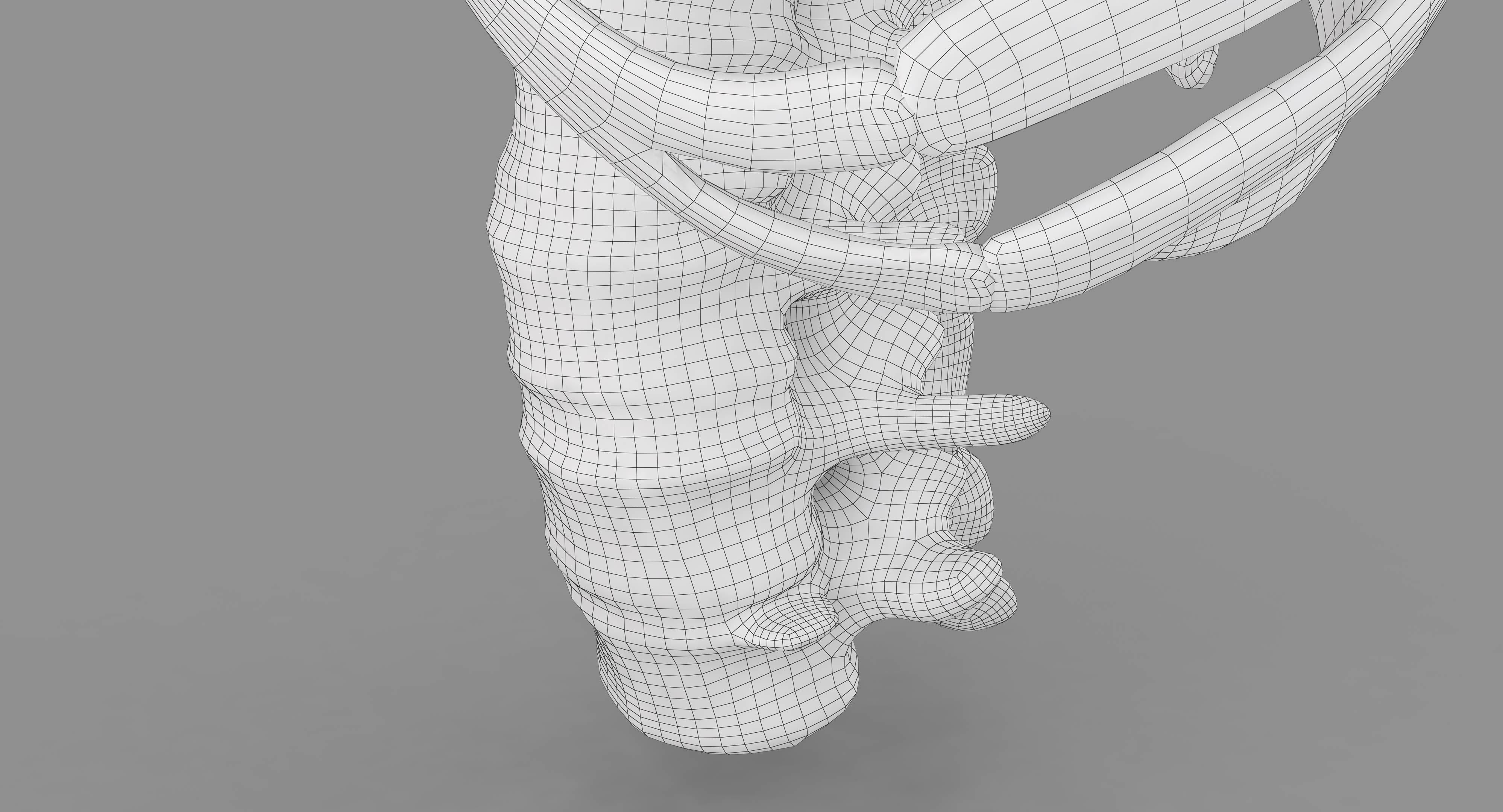 Human Spine Scanned Low-poly 3D model_83
