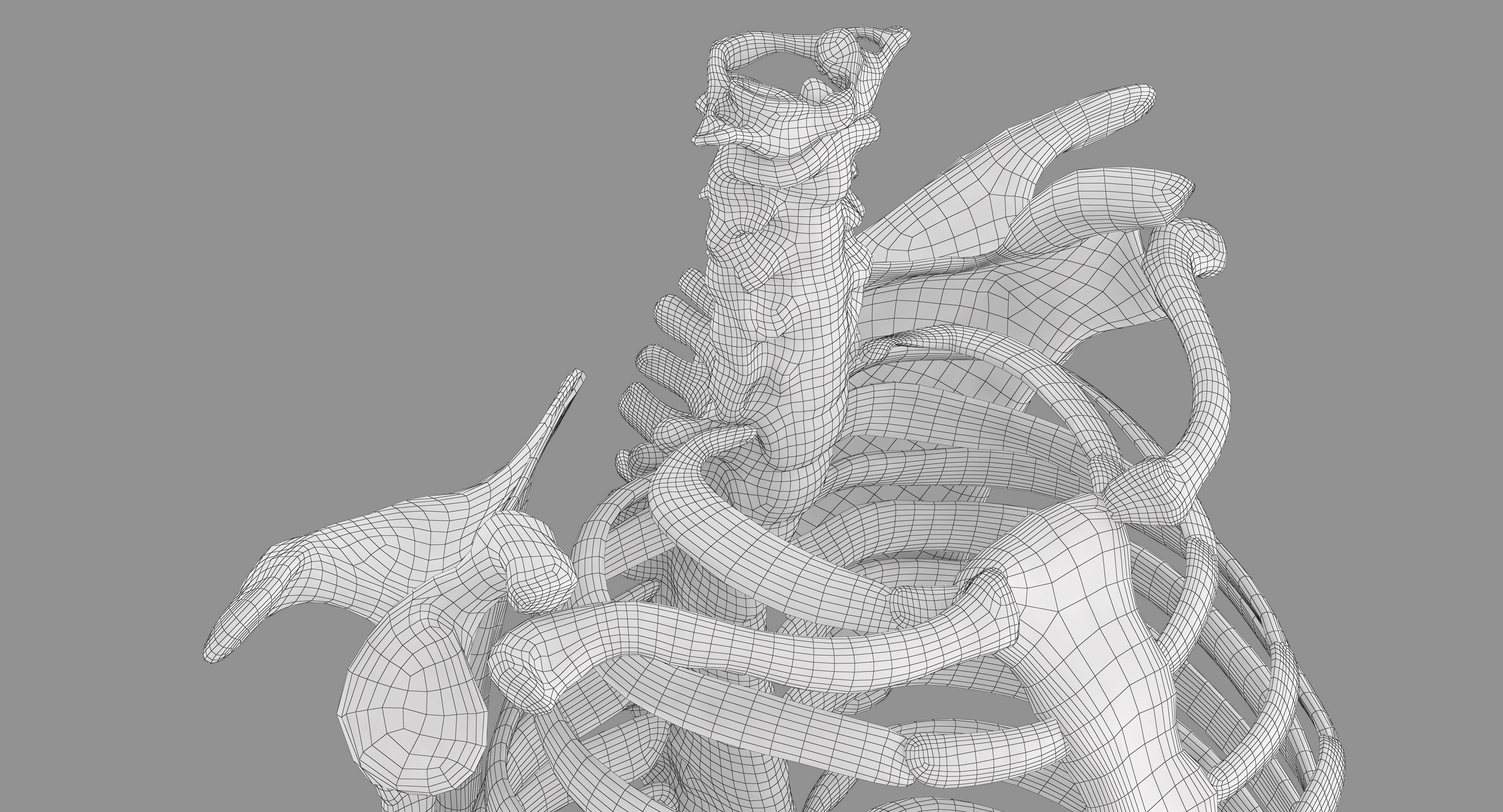 Human Spine Scanned Low-poly 3D model_15