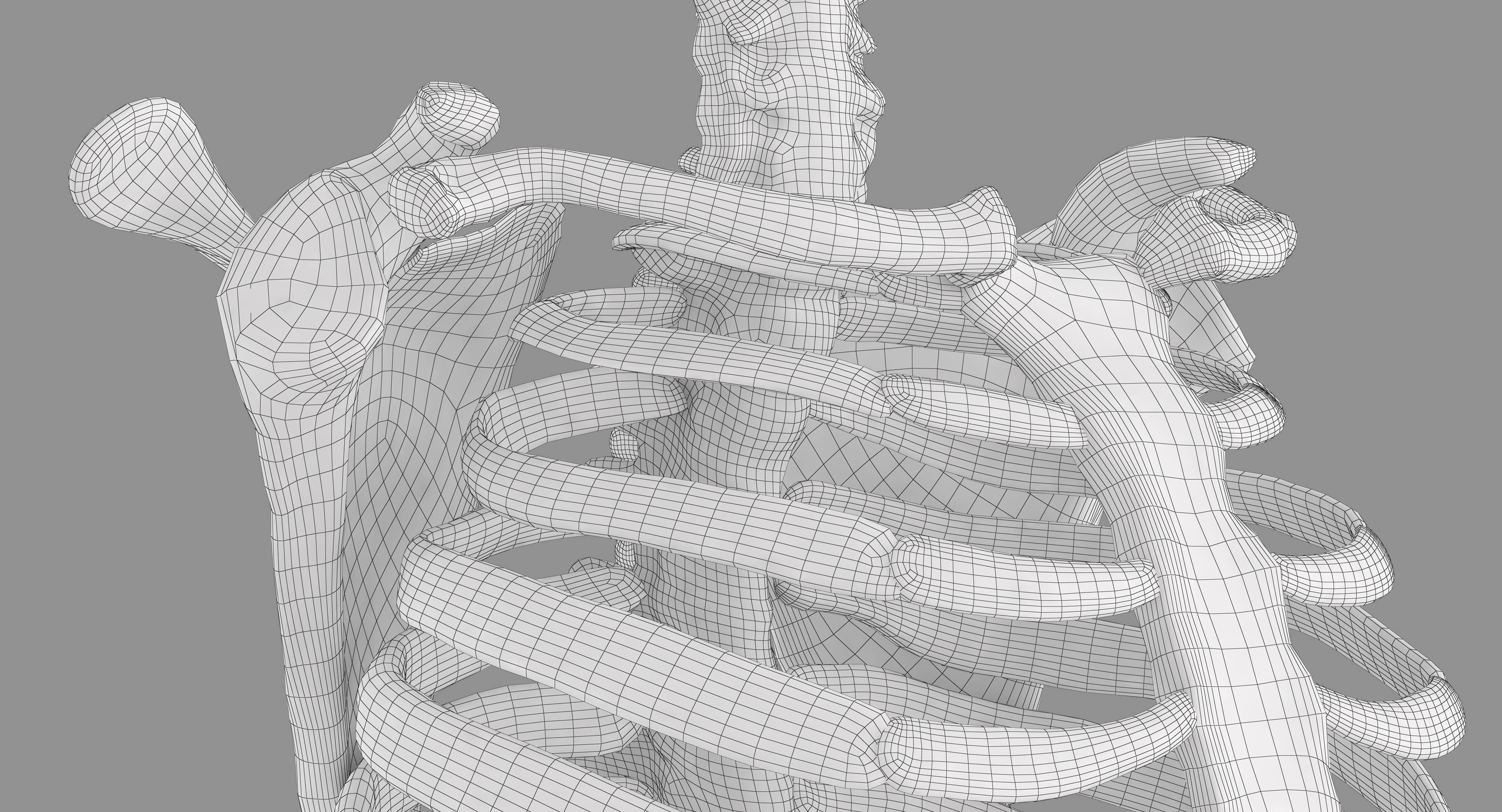 Human Spine Scanned Low-poly 3D model_17