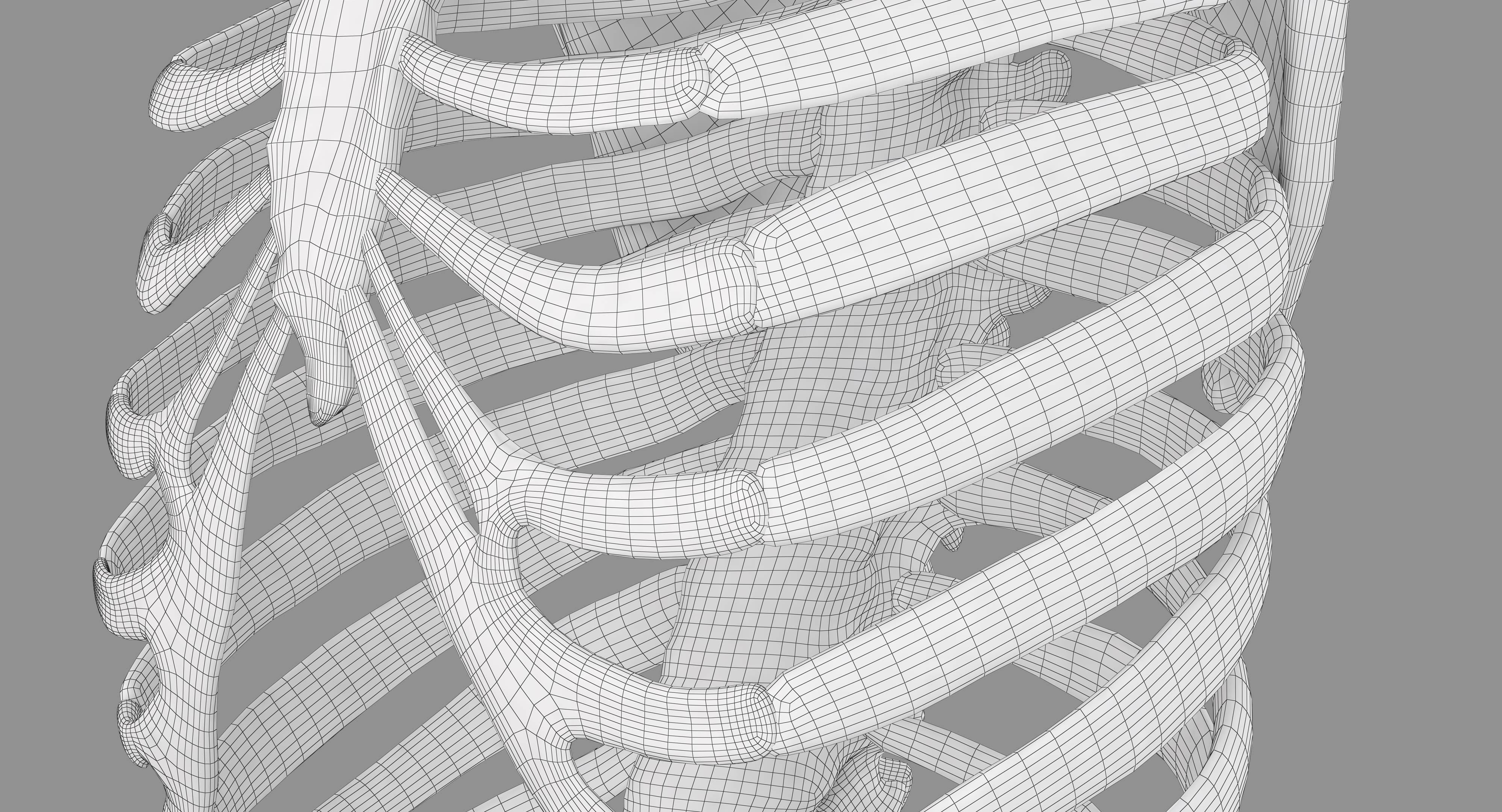 Human Spine Scanned Low-poly 3D model_79
