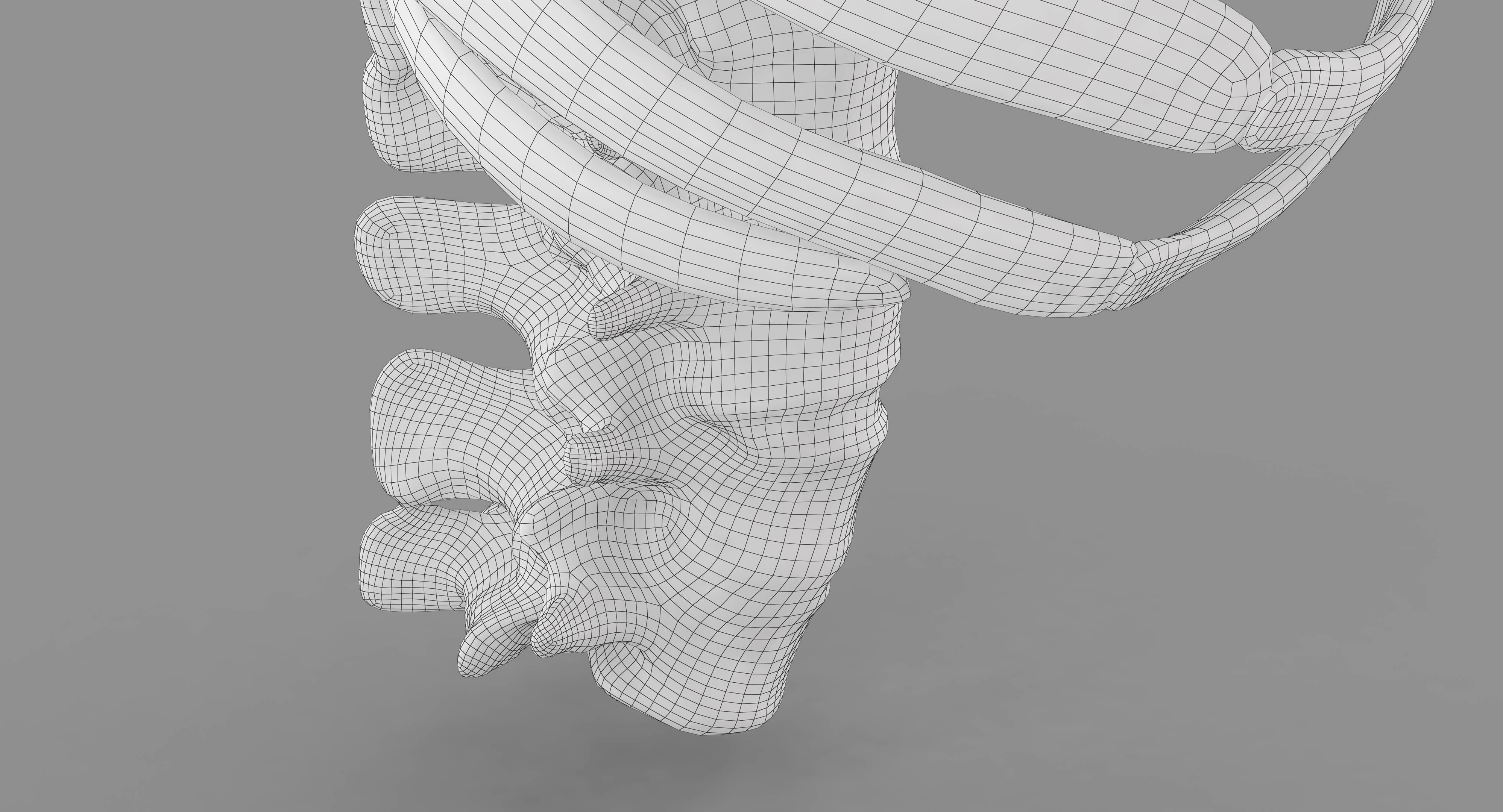 Human Spine Scanned Low-poly 3D model_33