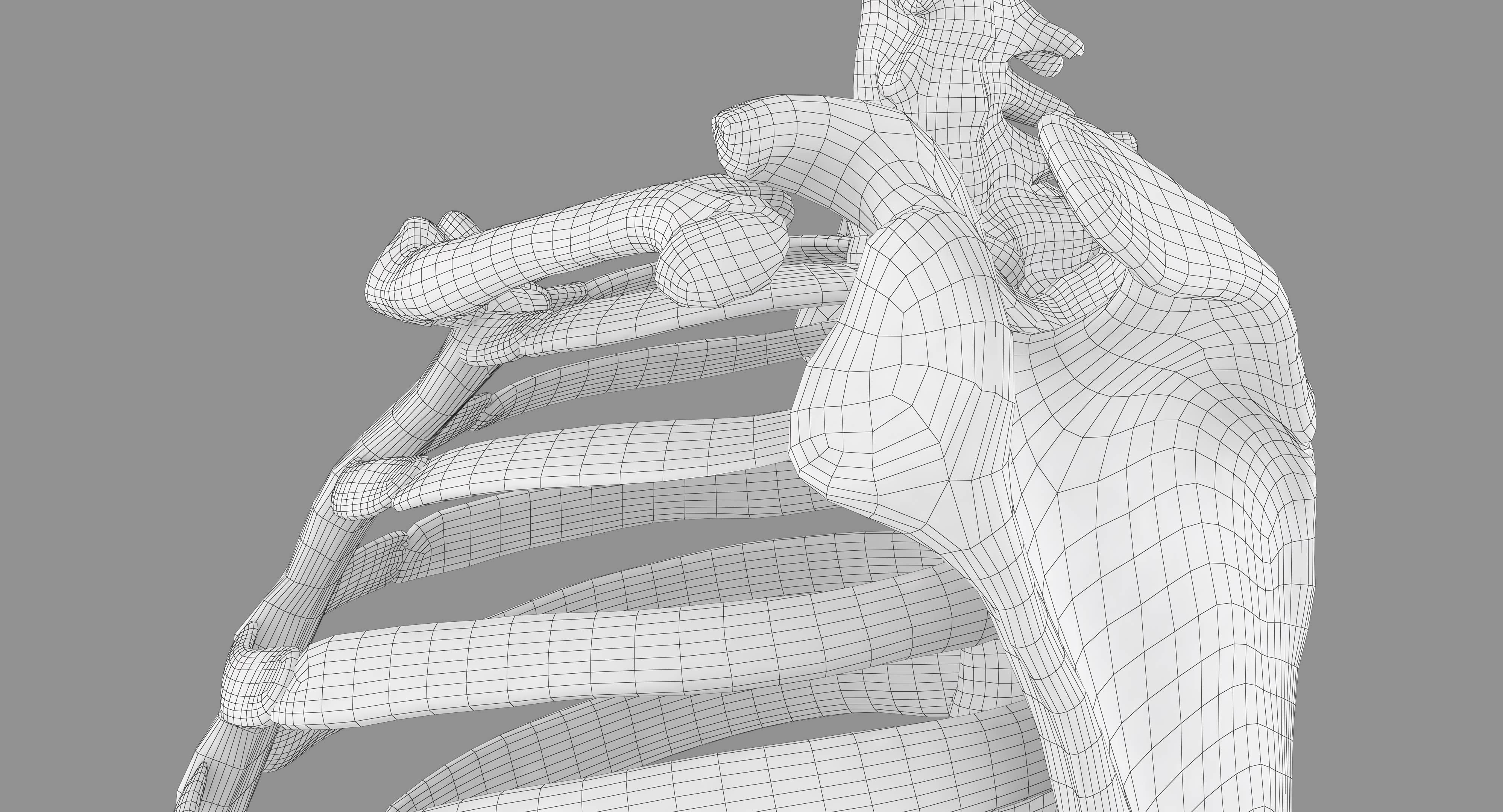 Human Spine Scanned Low-poly 3D model_67