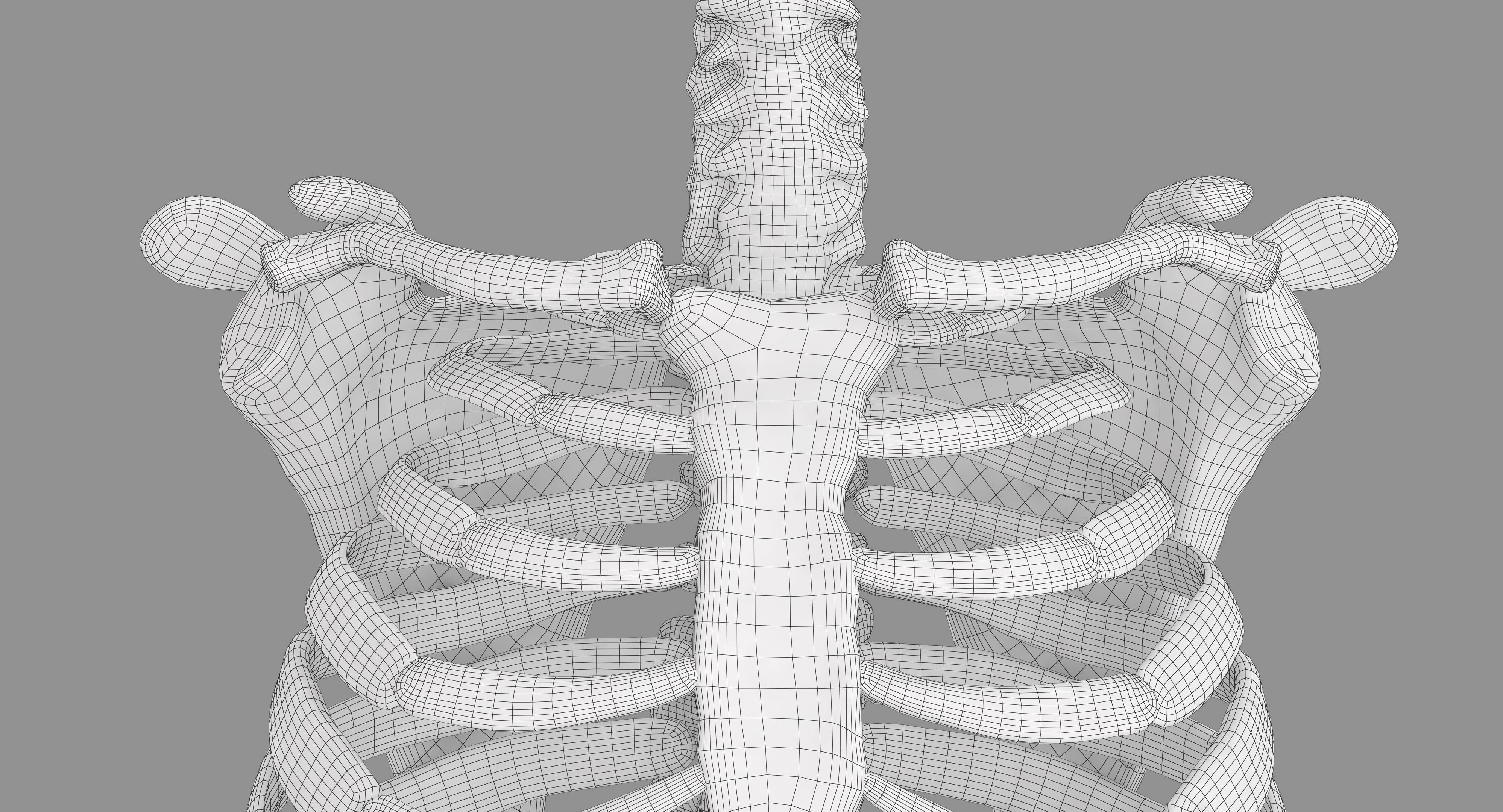 Human Spine Scanned Low-poly 3D model_7