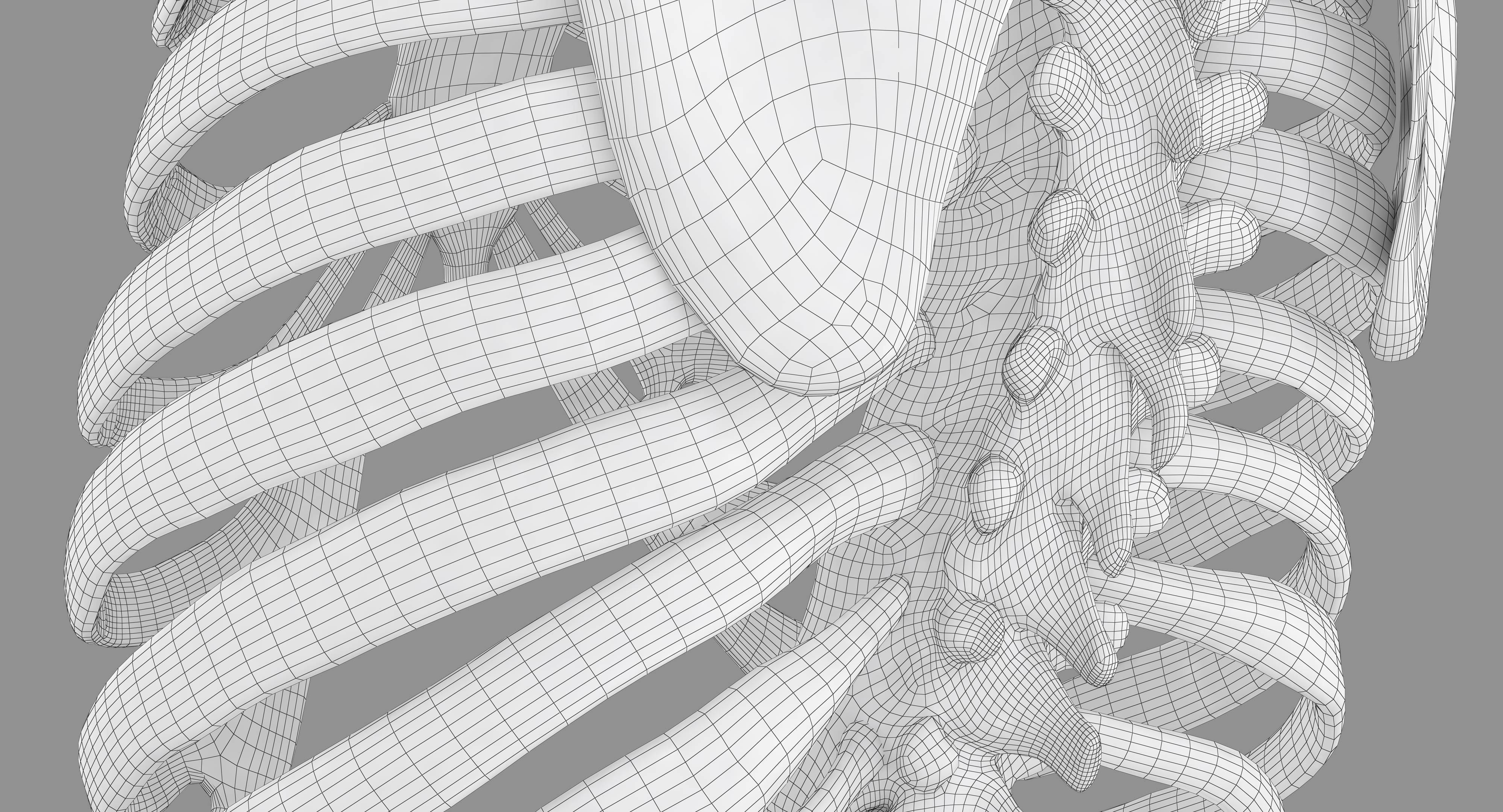 Human Spine Scanned Low-poly 3D model_59