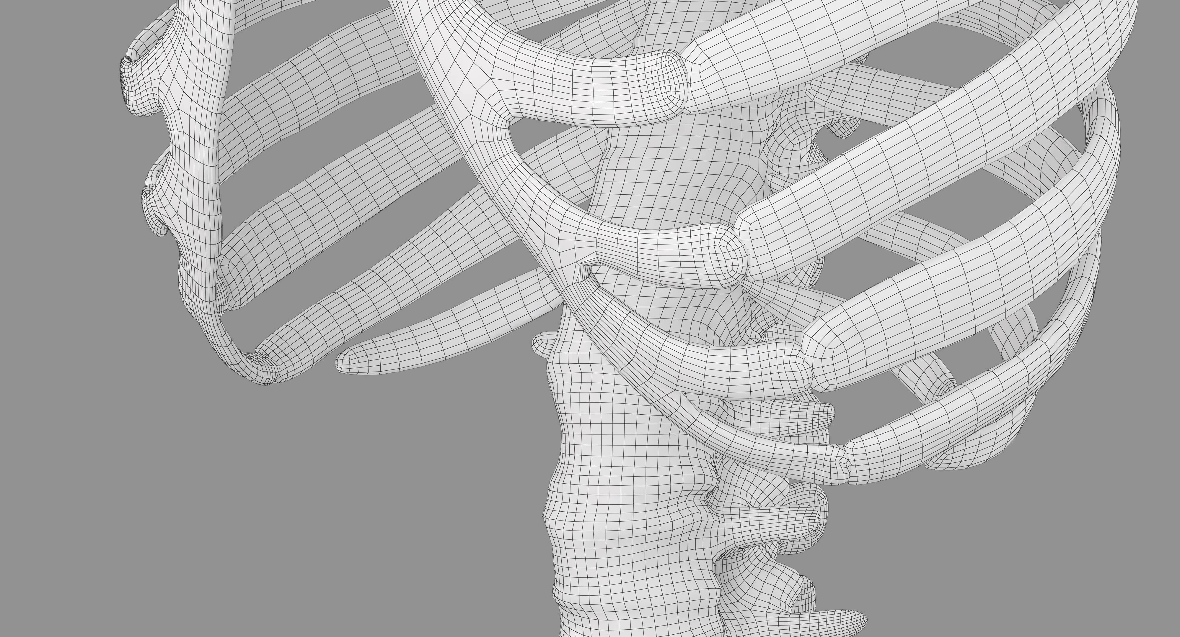 Human Spine Scanned Low-poly 3D model_81